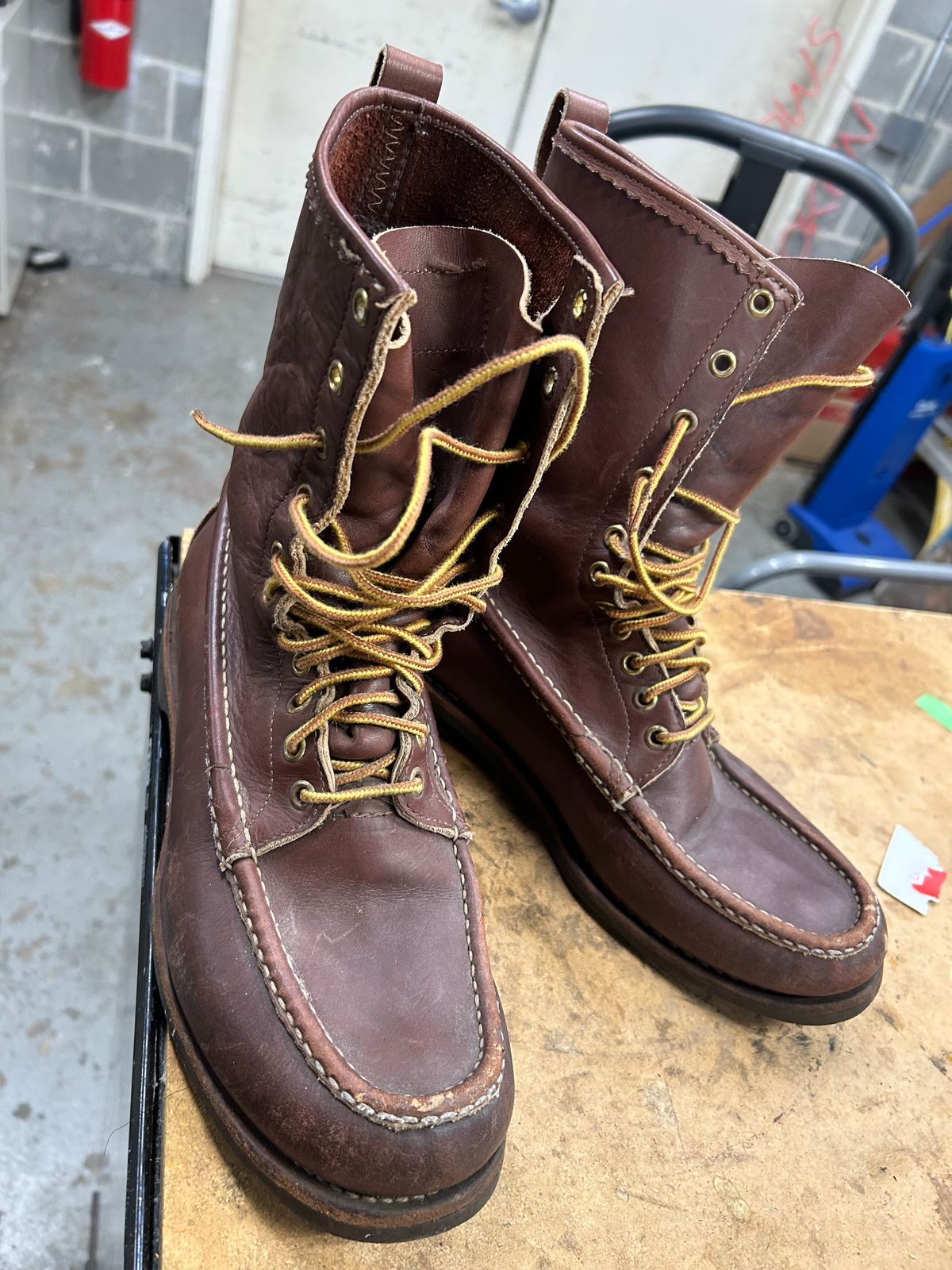 Photo by Vic on January 21, 2026 of the Russell Moccasin Co. Bird Shooter in Brown Oil Tan.