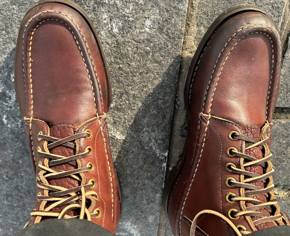 Photo by Vic on February 6, 2026 of the Russell Moccasin Co. Bird Shooter in Brown Oil Tan.