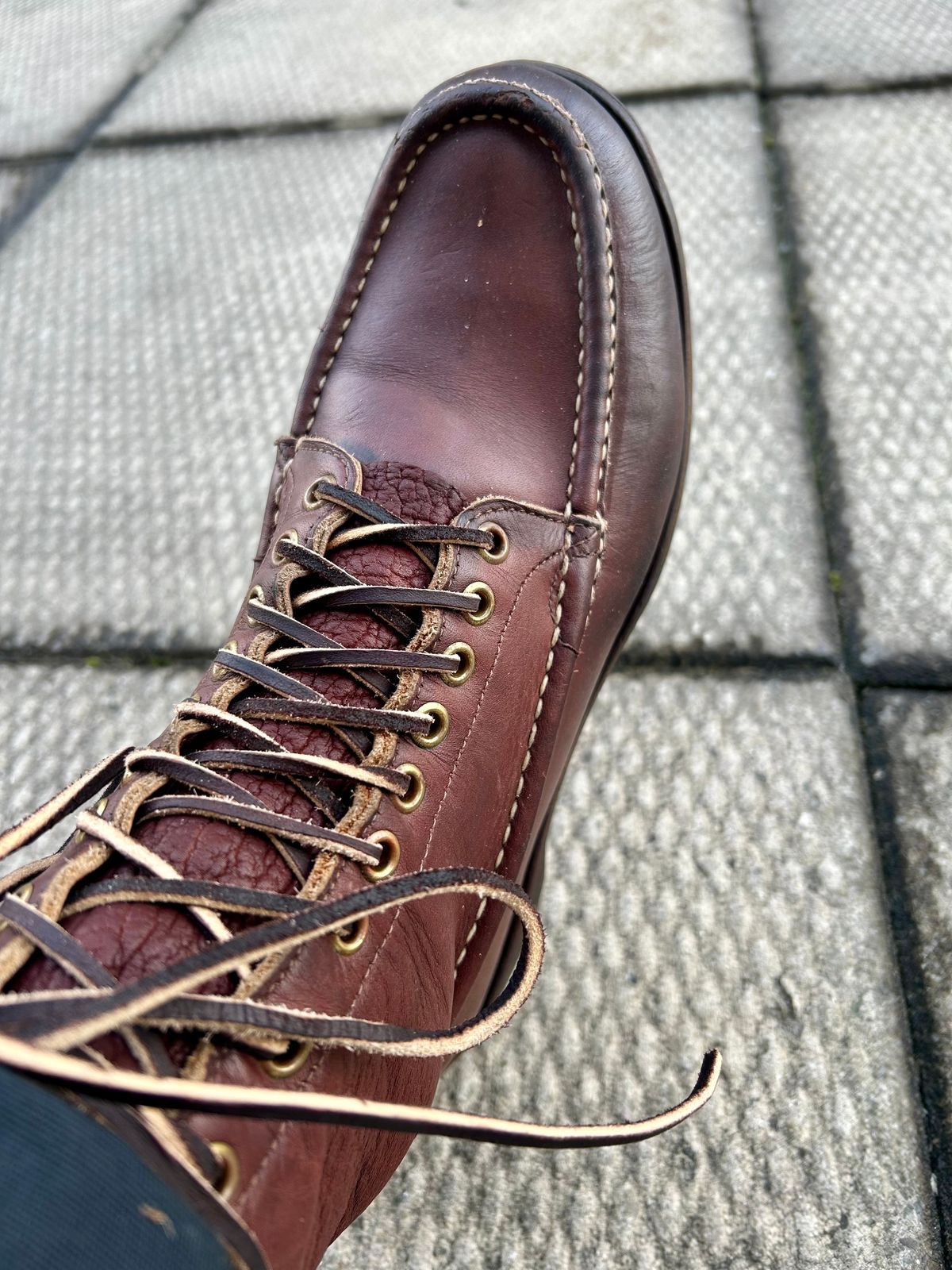 Photo by Vic on February 6, 2026 of the Russell Moccasin Co. Bird Shooter in Brown Oil Tan.