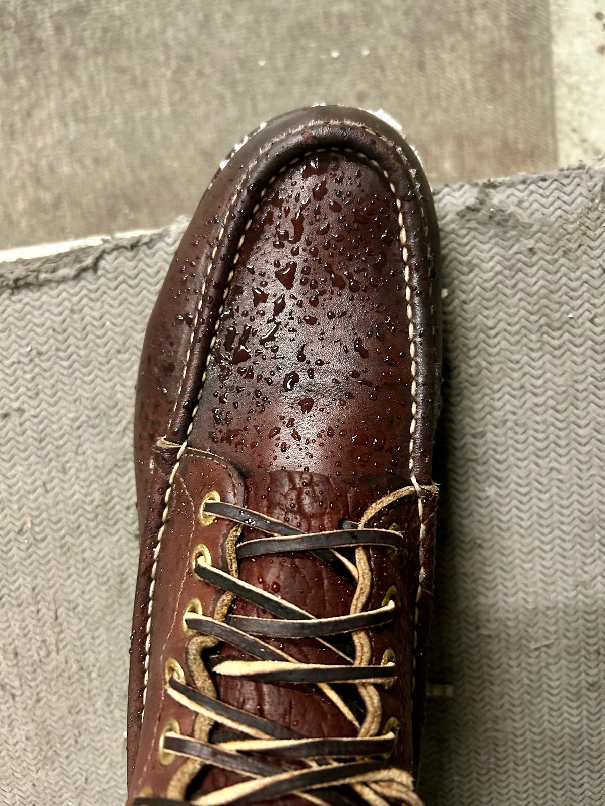 Photo by Vic on February 23, 2026 of the Russell Moccasin Co. Bird Shooter in Brown Oil Tan.