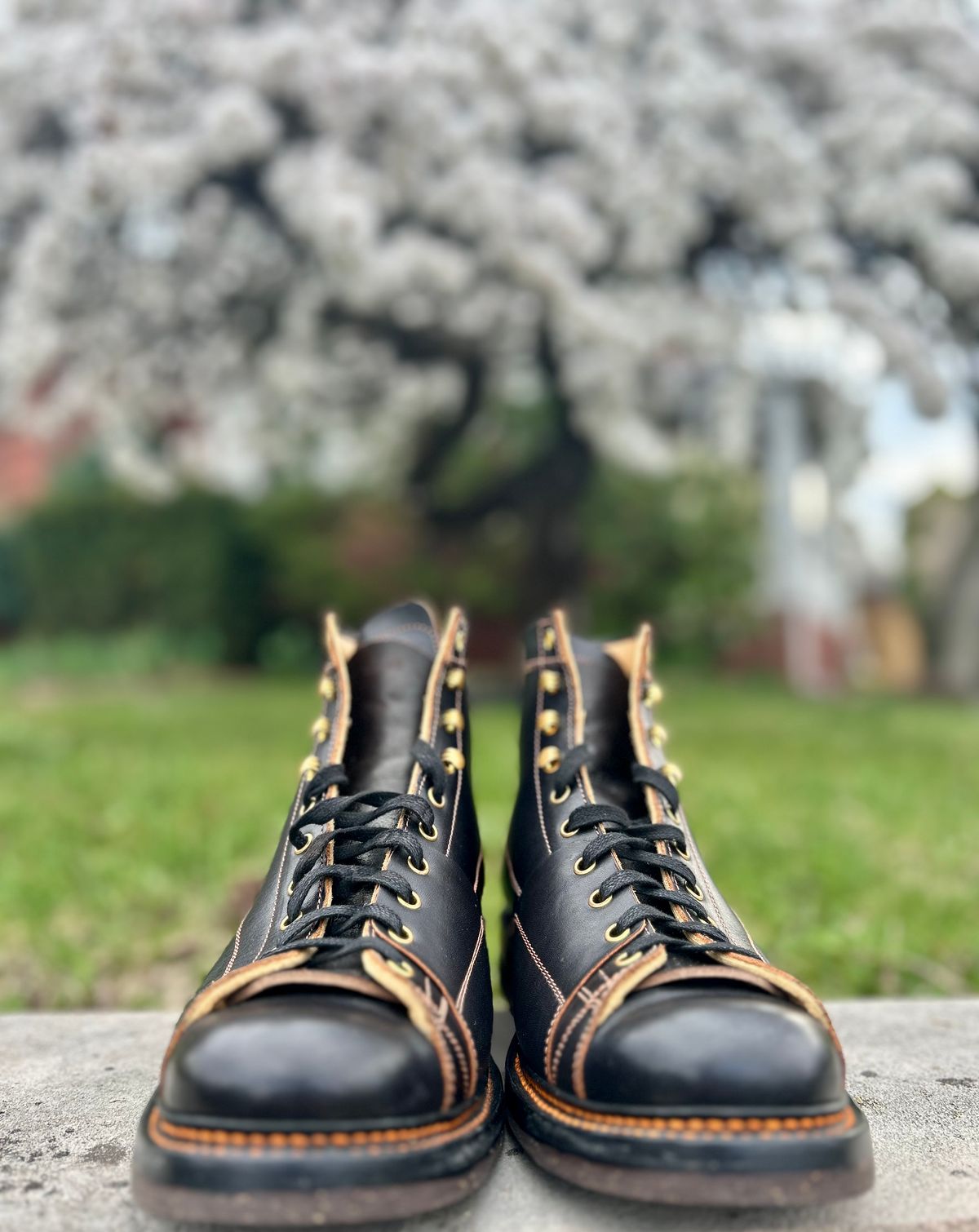 Photo by Vic on April 1, 2026 of the Sagara Cordmaster in Indonesian Black Teacore.