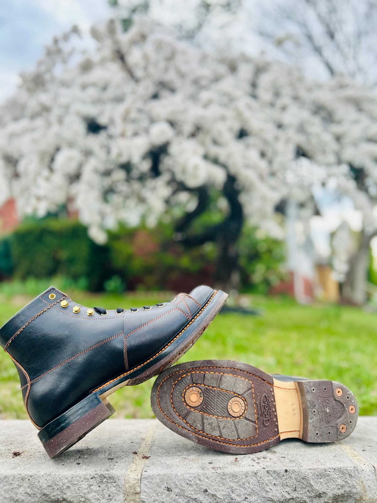 Photo by Vic on April 1, 2026 of the Sagara Cordmaster in Indonesian Black Teacore.