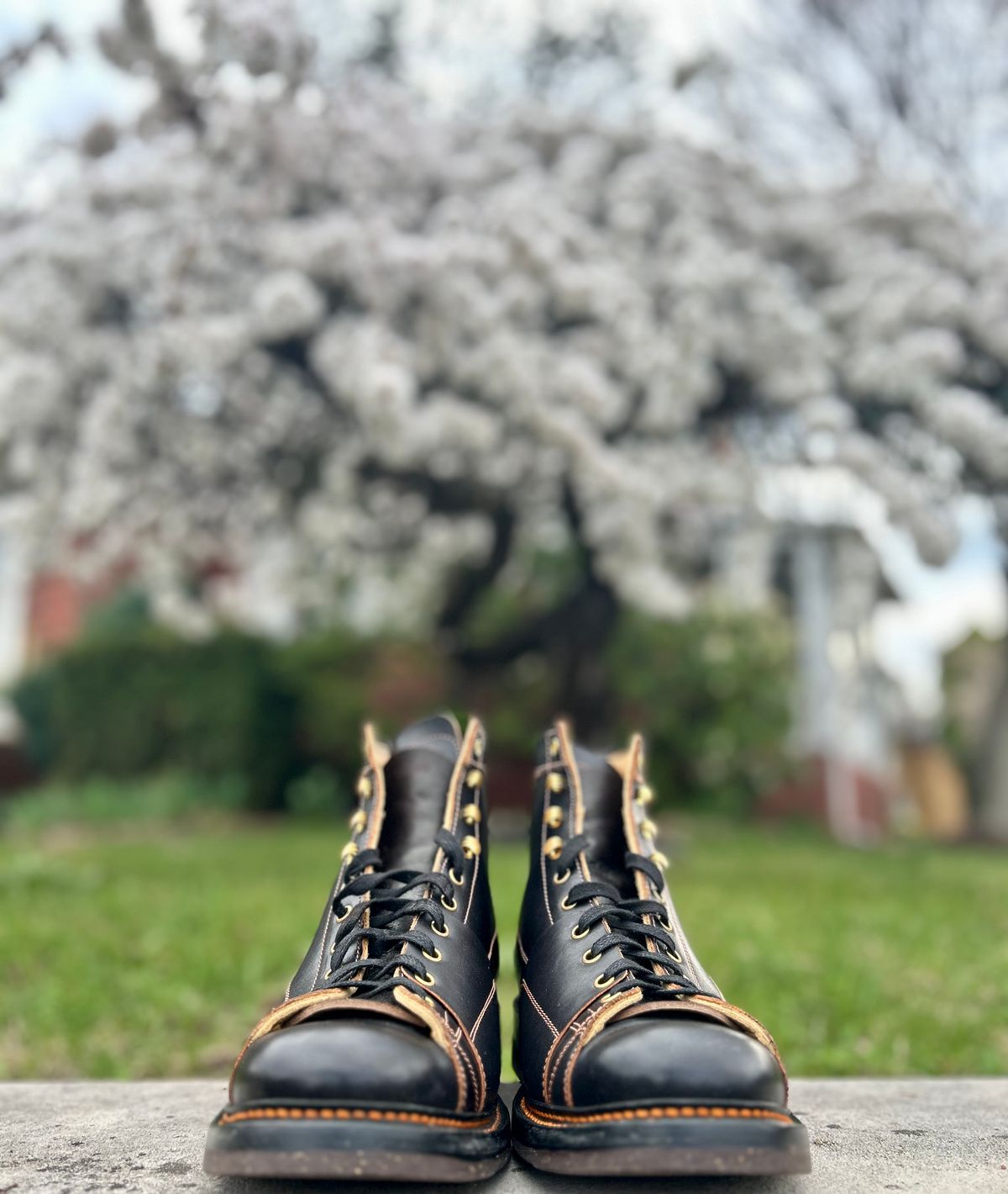 Photo by Vic on April 1, 2026 of the Sagara Cordmaster in Indonesian Black Teacore.