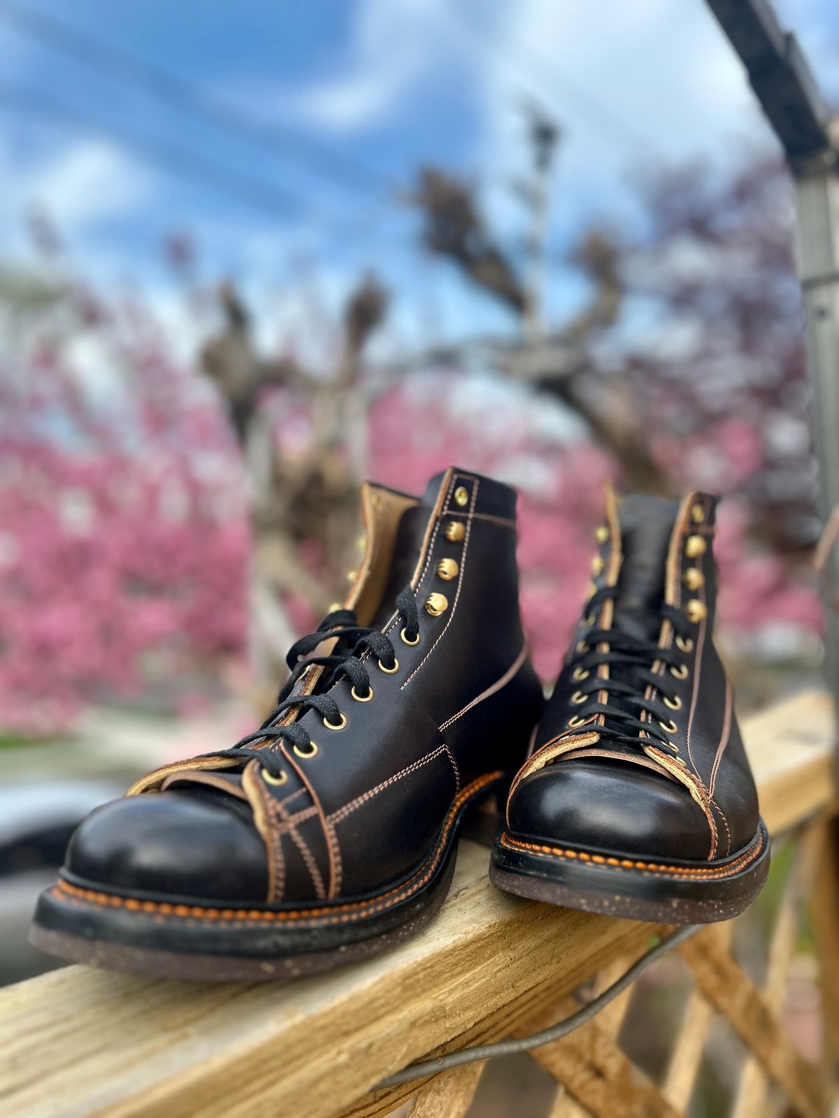 Photo by Vic on April 15, 2026 of the Sagara Cordmaster in Indonesian Black Teacore.