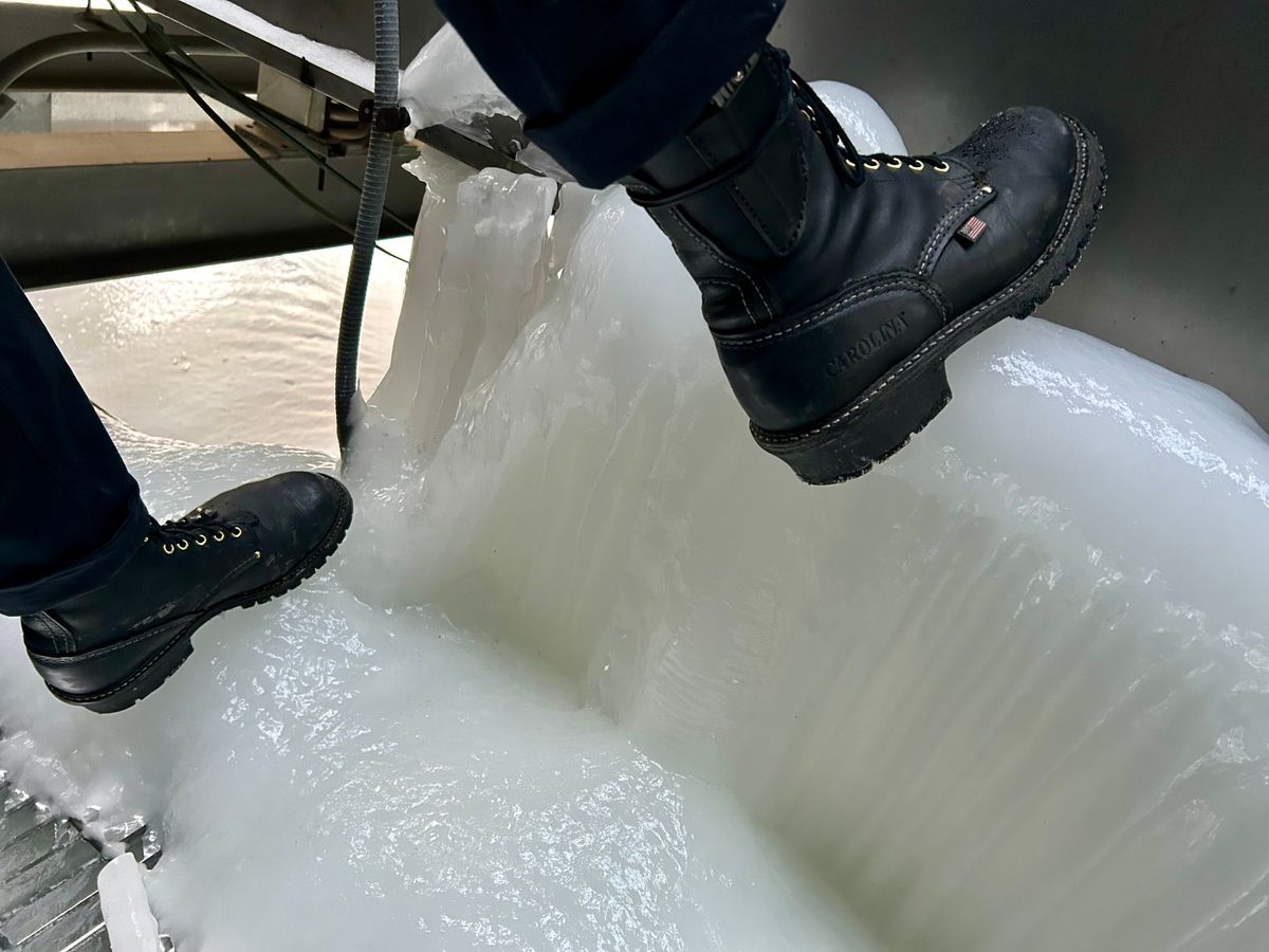 Photo by Vic on January 28, 2026 of the Carolina Logger in Unknown Leather.