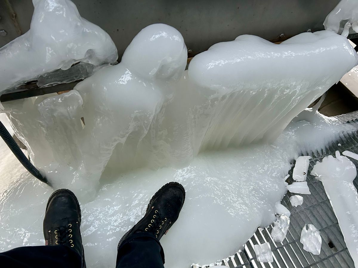 Photo by Vic on January 28, 2026 of the Carolina Logger in Unknown Leather.