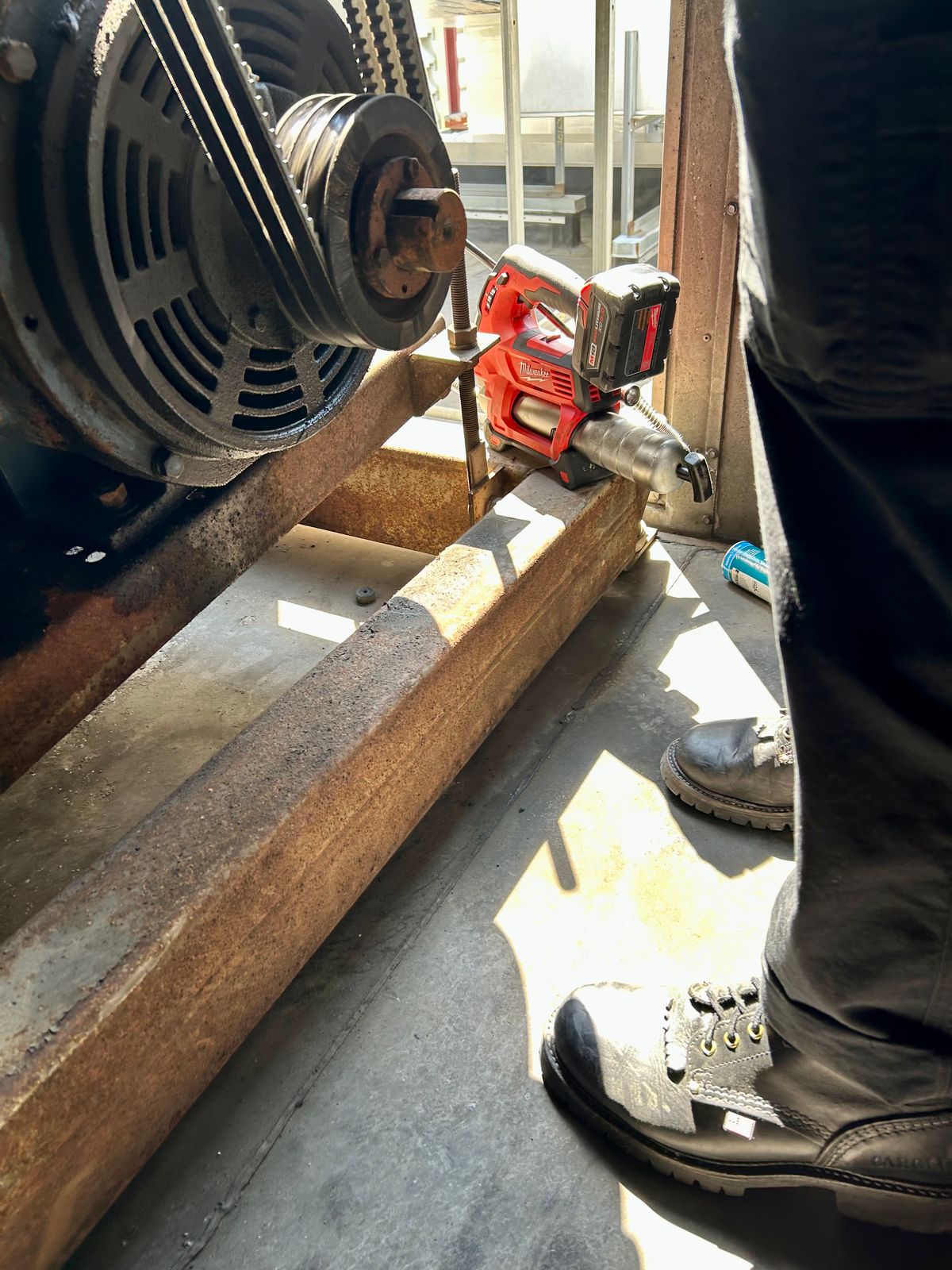 Photo by Vic on March 26, 2026 of the Carolina Logger in Unknown Leather.