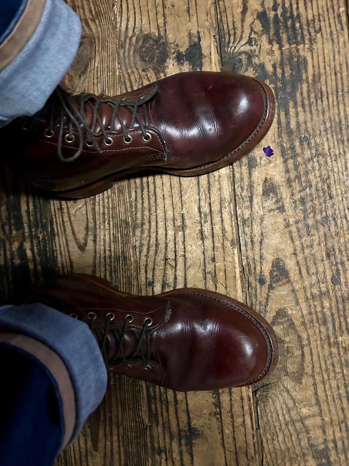 Photo by Vic on November 27, 2025 of the Chippewa Custom Model in Burgundy.