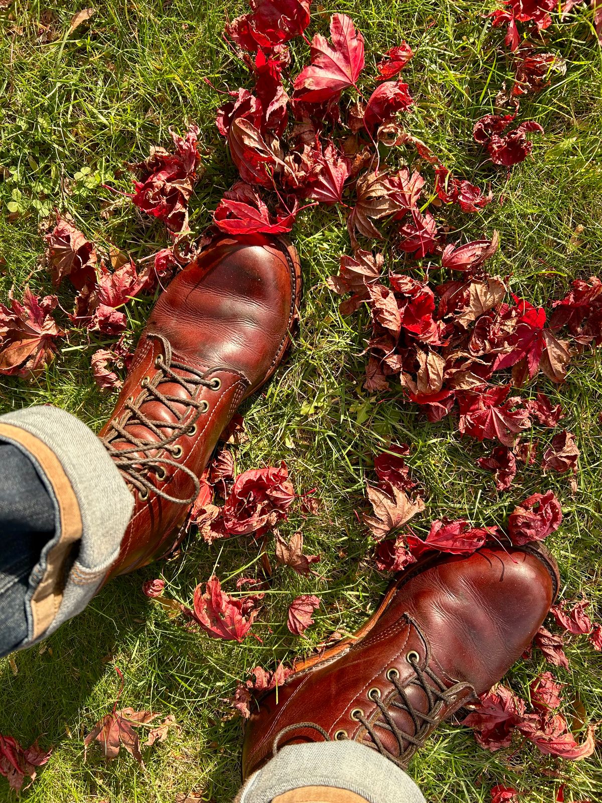 Photo by Vic on November 27, 2025 of the Chippewa Custom Model in Burgundy.