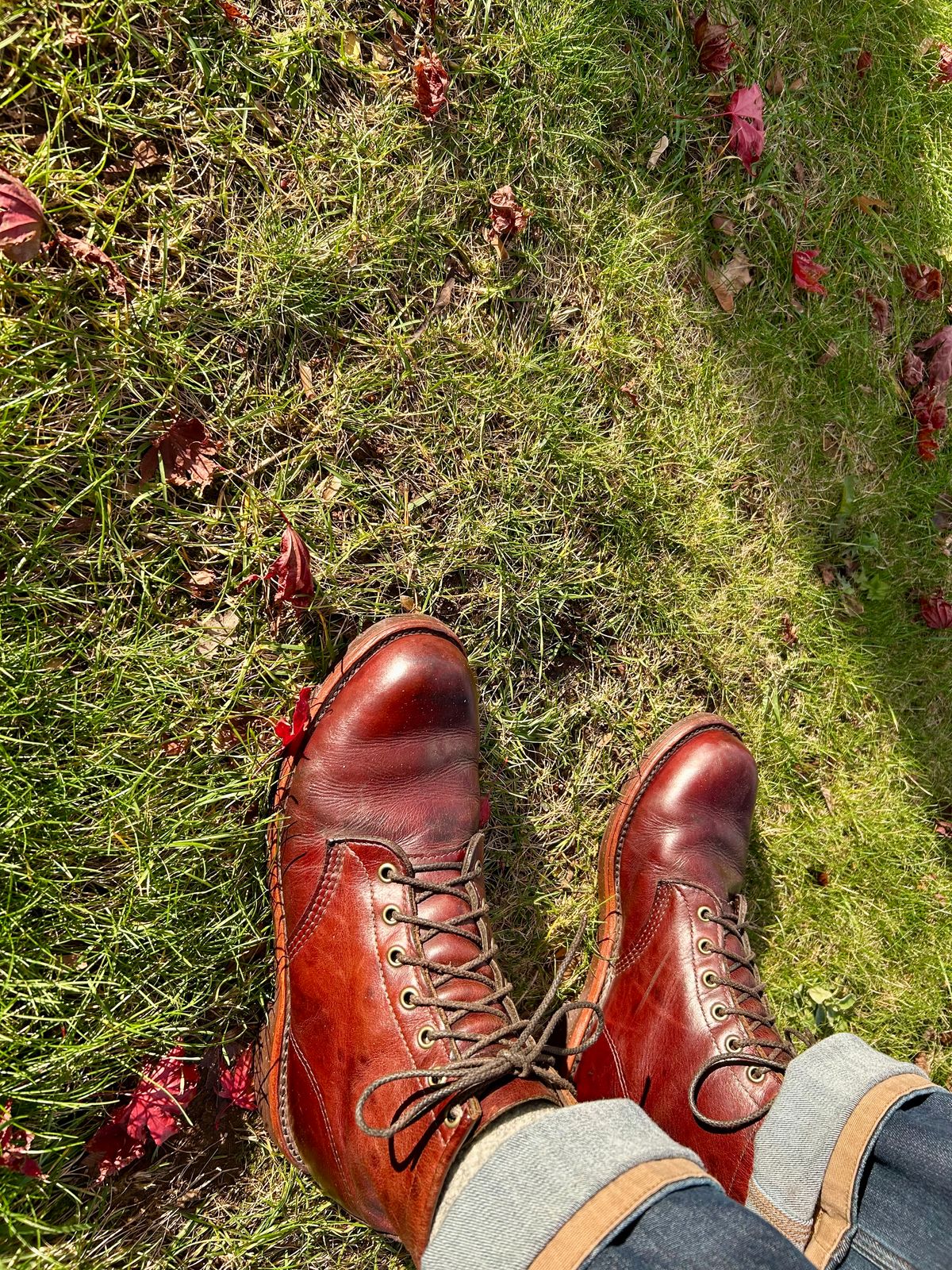 Photo by Vic on November 27, 2025 of the Chippewa Custom Model in Burgundy.