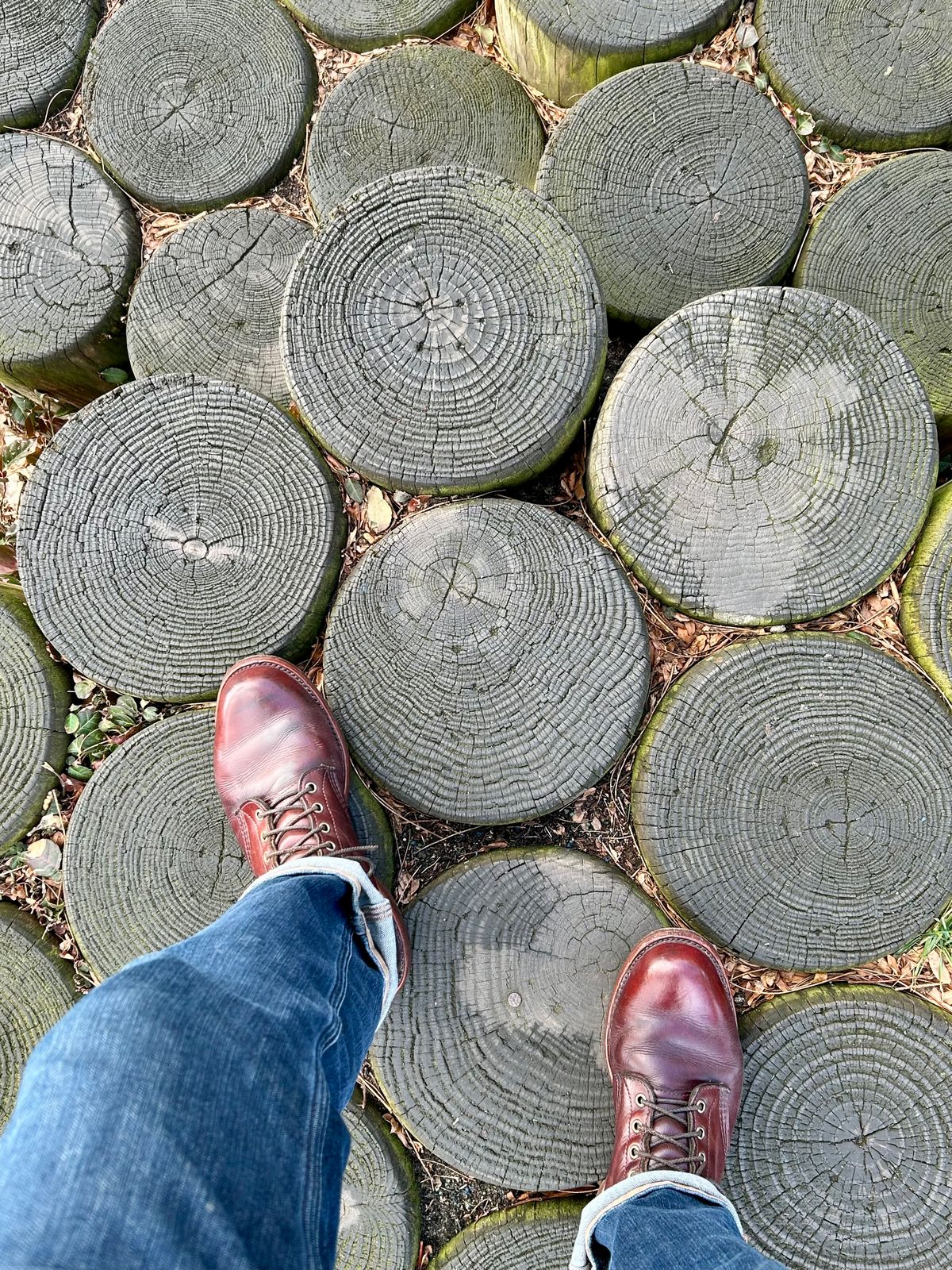 Photo by Vic on January 11, 2026 of the Chippewa Custom Model in Burgundy.