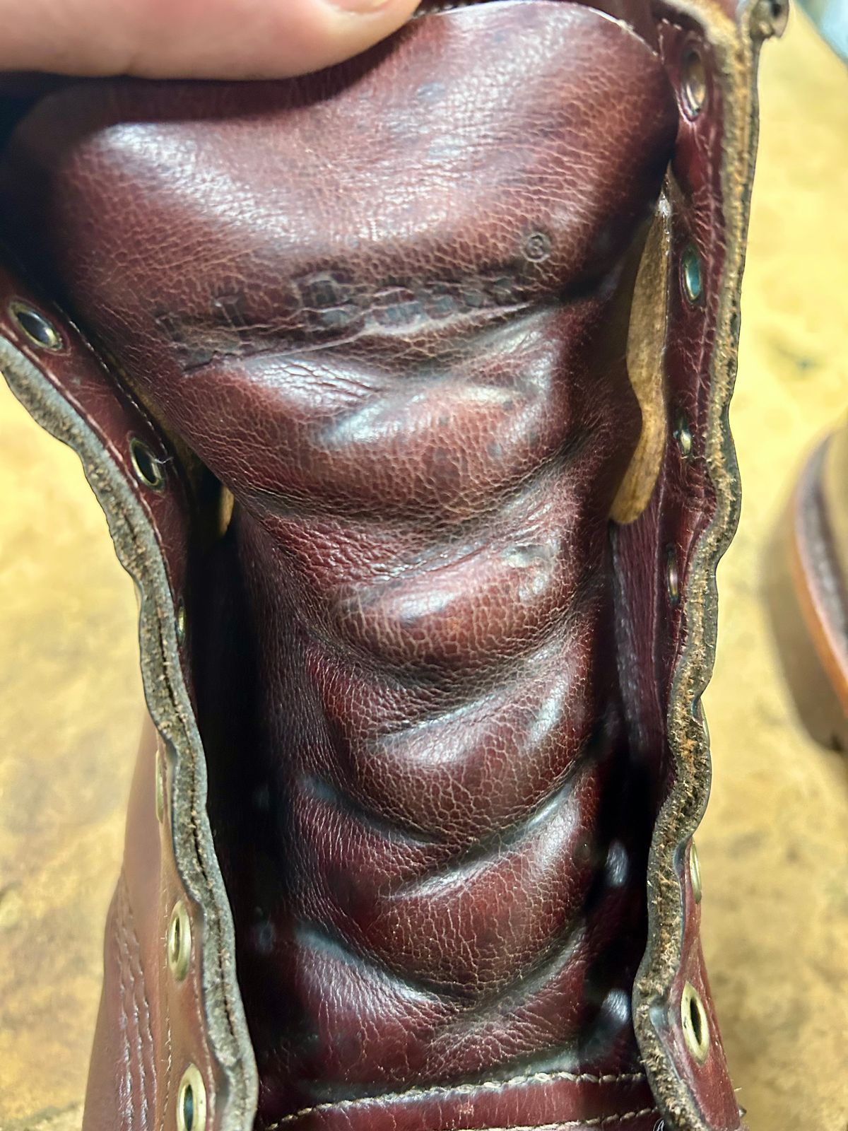 Photo by Vic on January 11, 2026 of the Chippewa Custom Model in Burgundy.