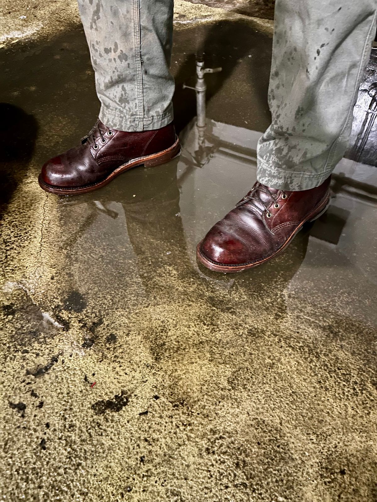 Photo by Vic on March 28, 2026 of the L.L.Bean X Chippewa Custom Model in Burgundy.