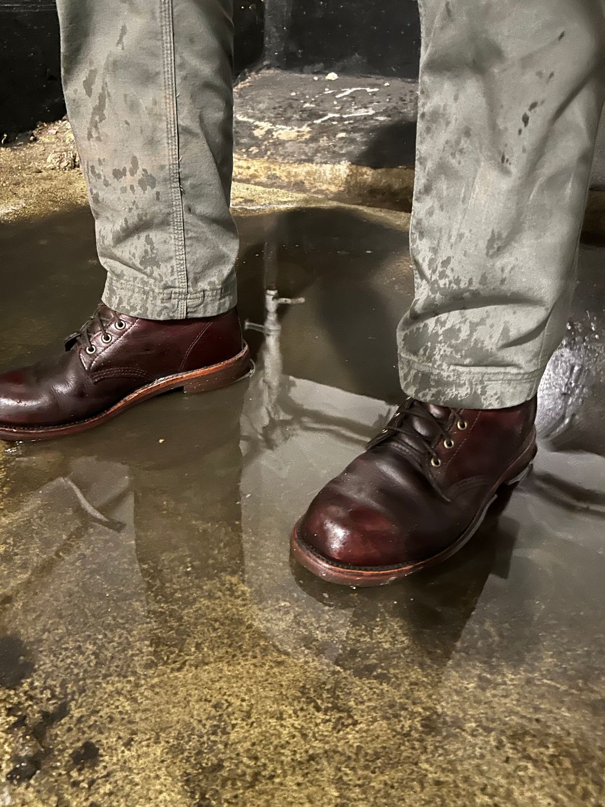 Photo by Vic on March 28, 2026 of the L.L.Bean X Chippewa Custom Model in Burgundy.