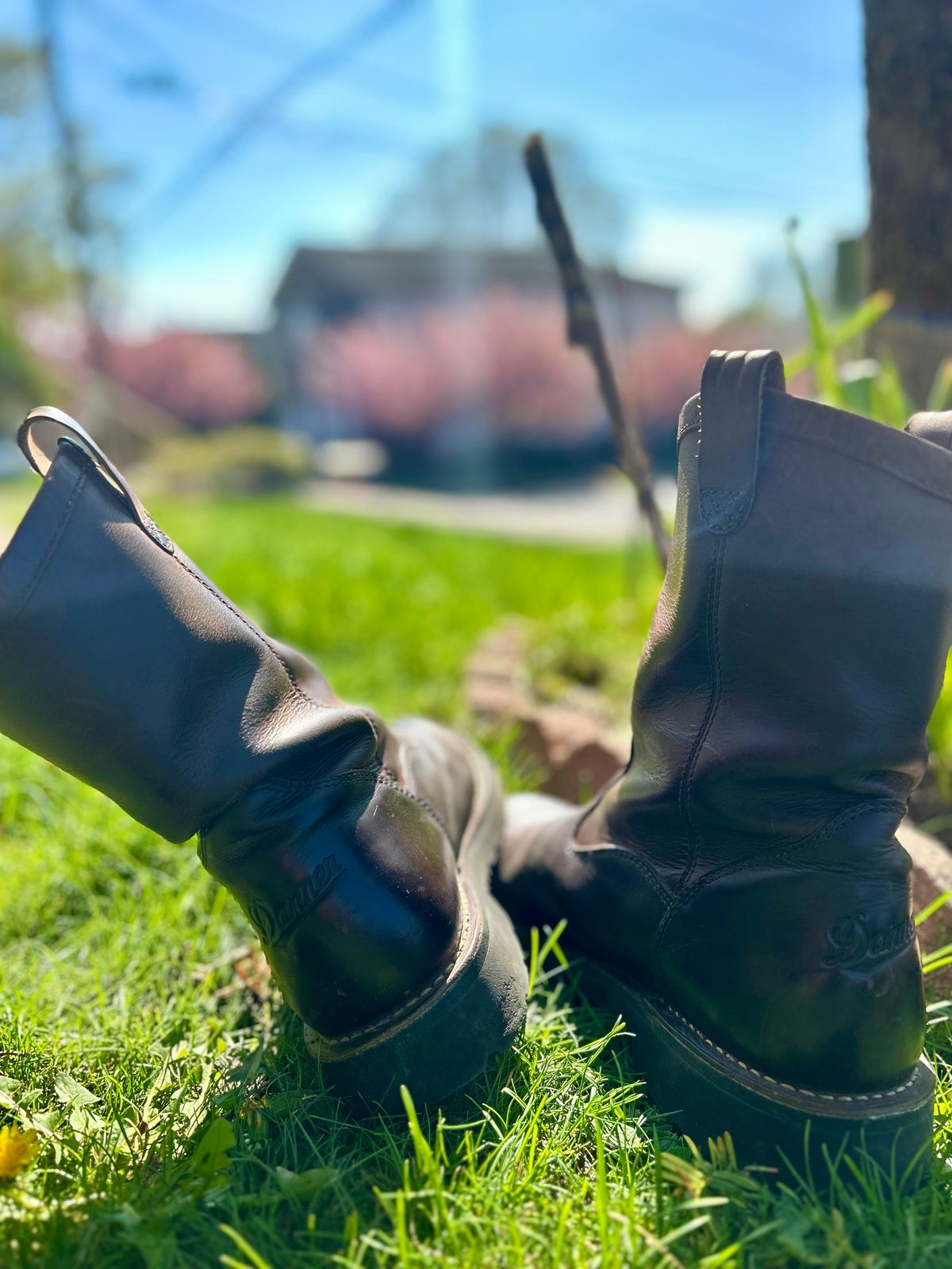 Photo by Vic on April 18, 2026 of the Danner Bull Run Wellington PT in Brown Full Grain.