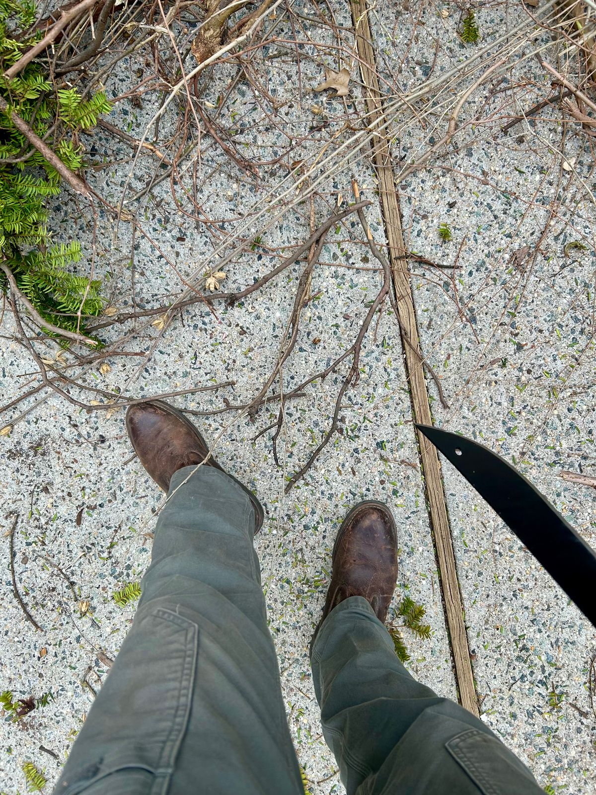 Photo by Vic on March 15, 2026 of the Danner Welington in Brown Full Grain.