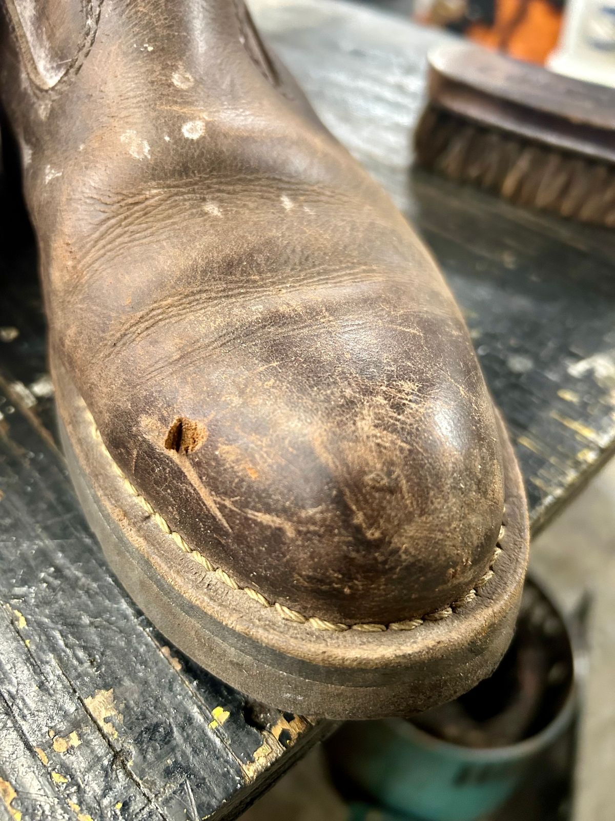 Photo by Vic on March 20, 2026 of the Danner Bull Run Wellington PT in Brown Full Grain.