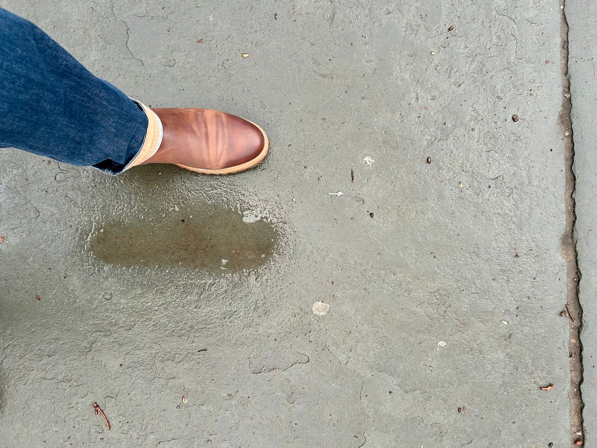 Photo by Vic on January 11, 2026 of the Carolina Gold Chelsea in Horween Carolina Brown Chromexcel.