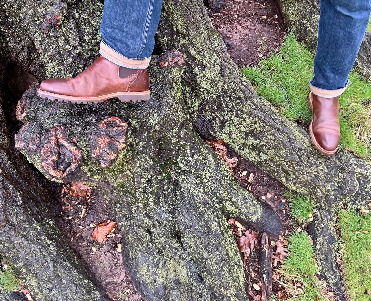 Photo by Vic on March 23, 2026 of the Carolina Gold Chelsea in Unknown Natural Veg Tan.