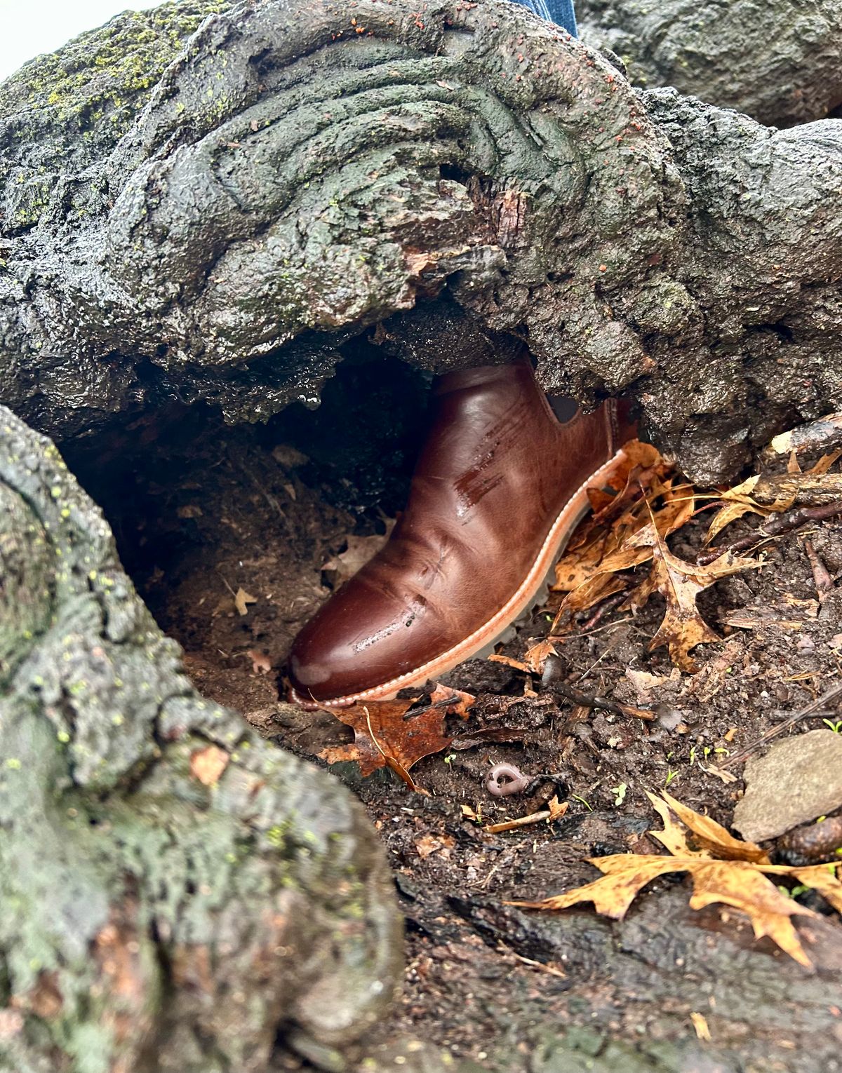 Photo by Vic on March 23, 2026 of the Carolina Gold Chelsea in Unknown Natural Veg Tan.