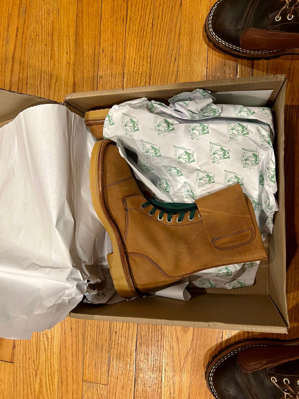 Photo by Vic on November 20, 2025 of the Jim Green African Bush War Boot in Fudge Crazy Horse.