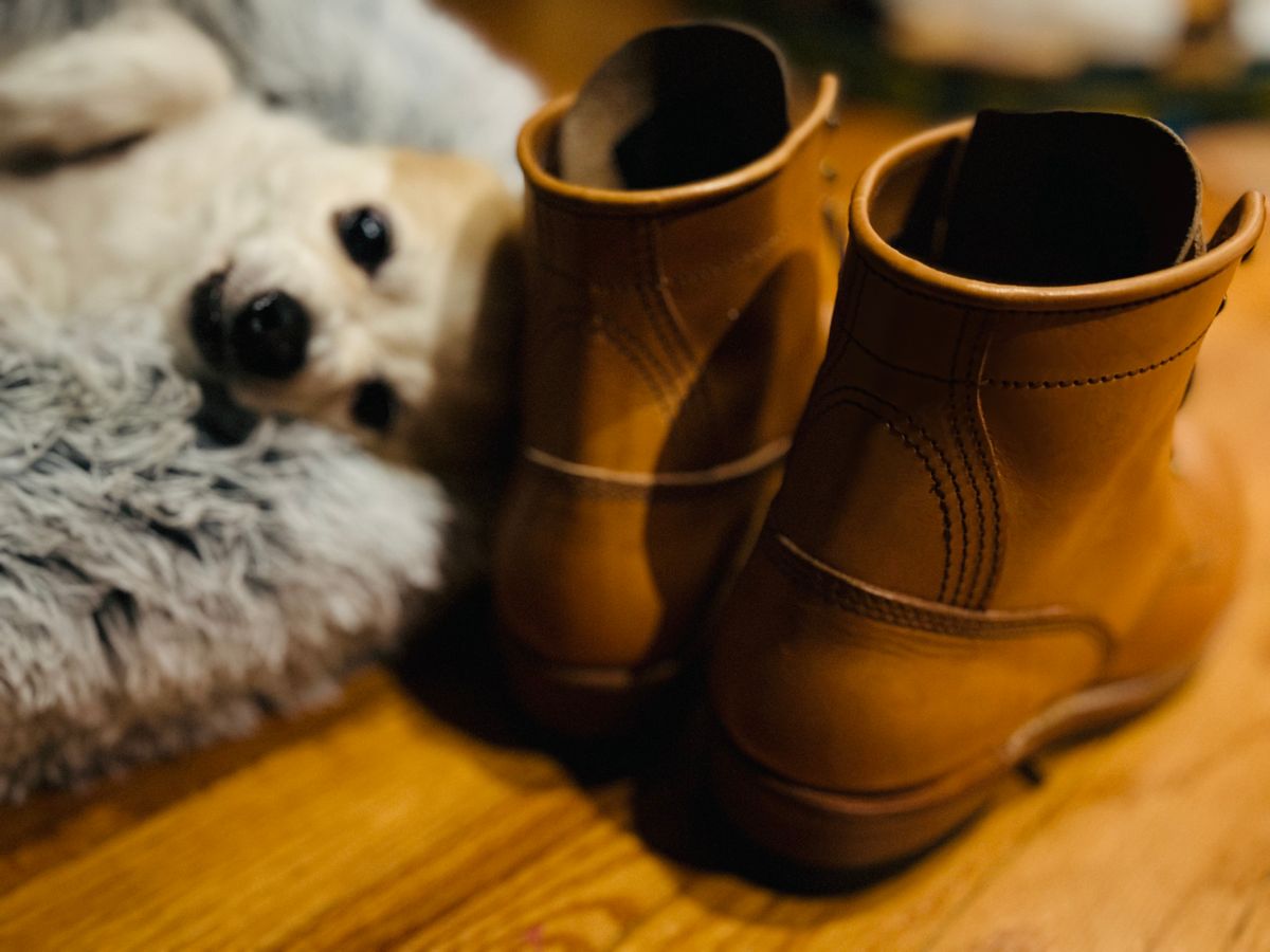 Photo by Vic on May 6, 2026 of the John Lofgren Steel Gang Boot in Badalassi Carlo Bone Minerva Liscio.
