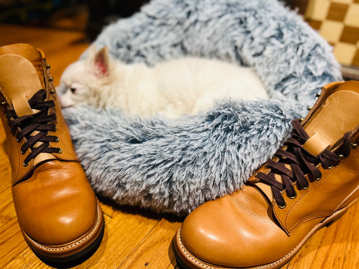 Photo by Vic on May 6, 2026 of the John Lofgren Steel Gang Boot in Badalassi Carlo Bone Minerva Liscio.