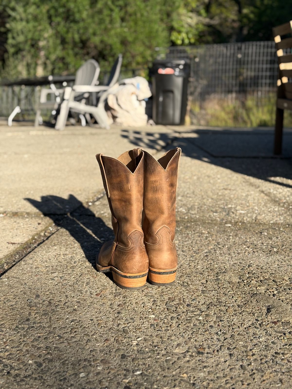 Photo by kvg on November 1, 2025 of the Nicks Palouse in Horoween Predator Natural.
