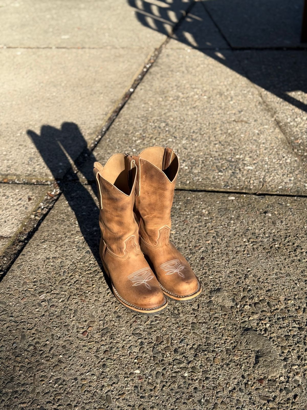 Photo by kvg on November 1, 2025 of the Nicks Palouse in Horoween Predator Natural.