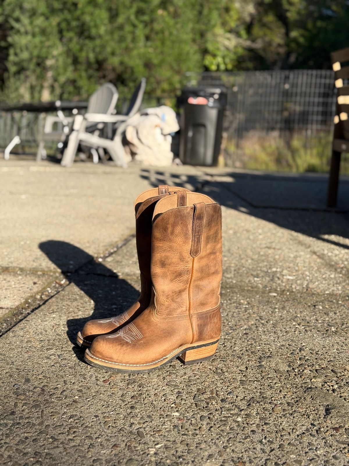 Photo by kvg on November 1, 2025 of the Nicks Palouse in Horoween Predator Natural.