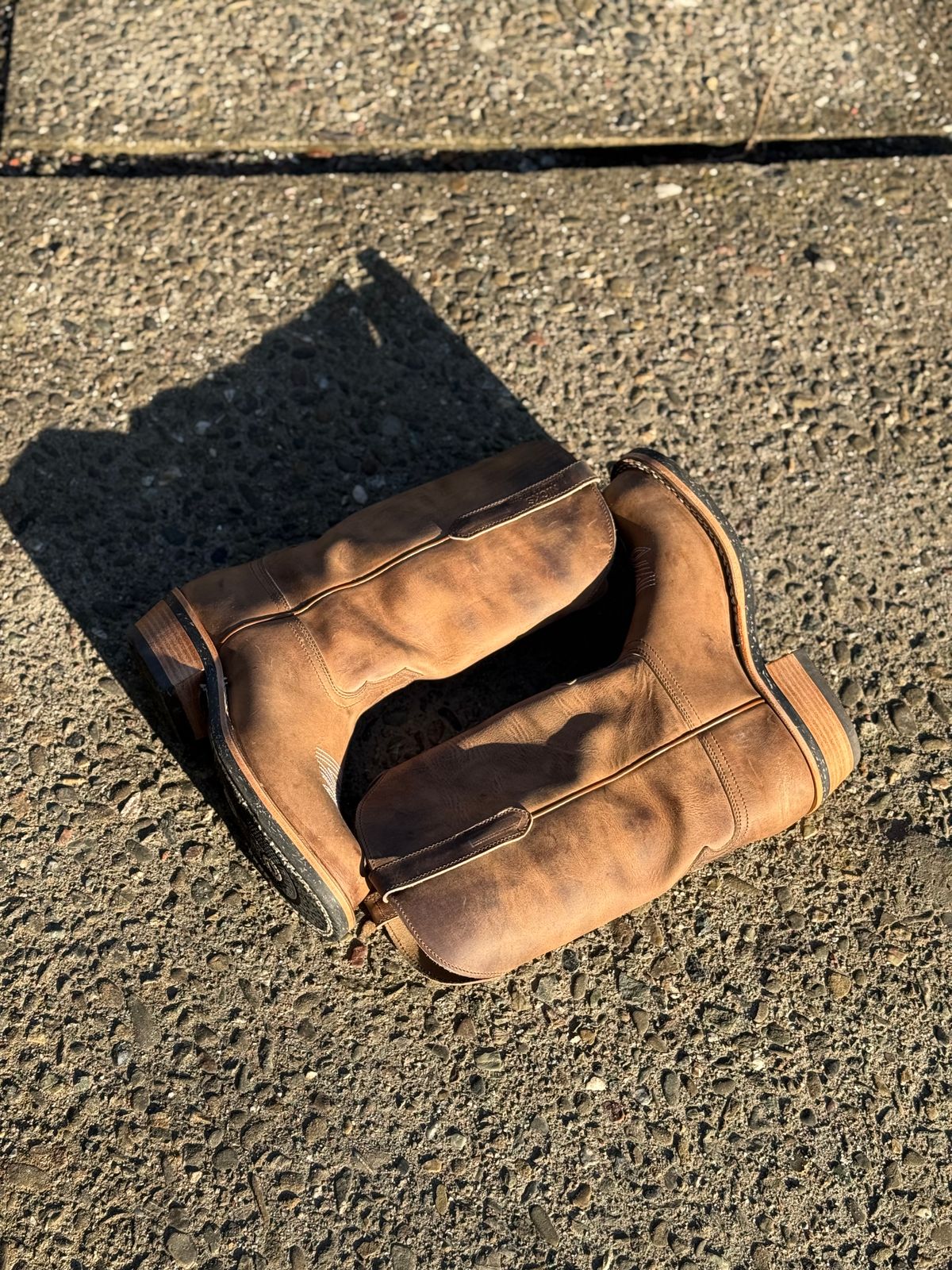 Photo by kvg on November 1, 2025 of the Nicks Palouse in Horoween Predator Natural.