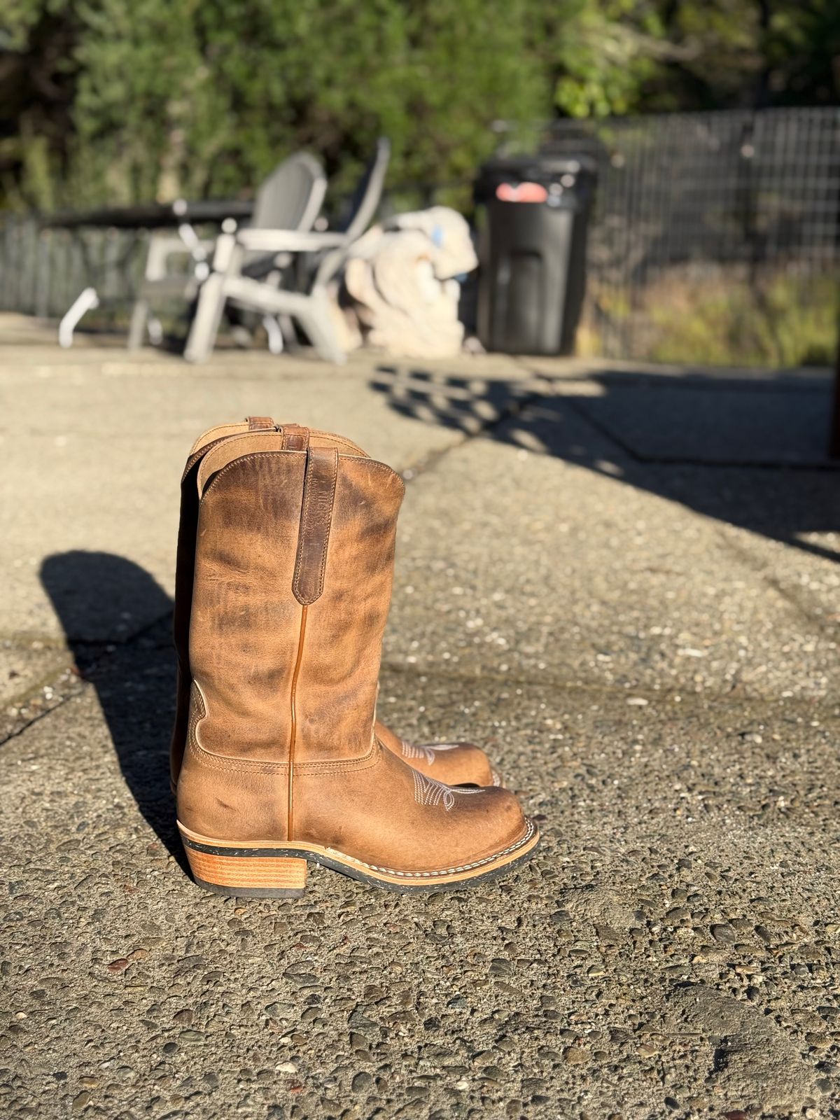 Photo by kvg on November 1, 2025 of the Nicks Palouse in Horoween Predator Natural.