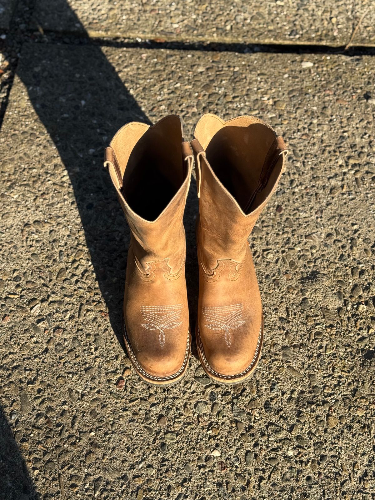 Photo by kvg on November 1, 2025 of the Nicks Palouse in Horoween Predator Natural.