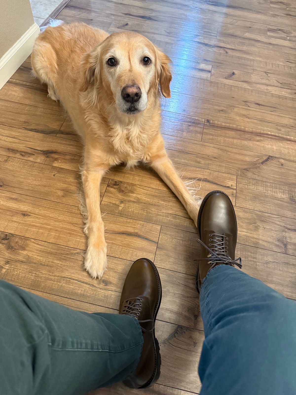 Photo by sierraStyled on October 10, 2024 of the Grant Stone Edward Boot in Horween Dark Olive Chromexcel.