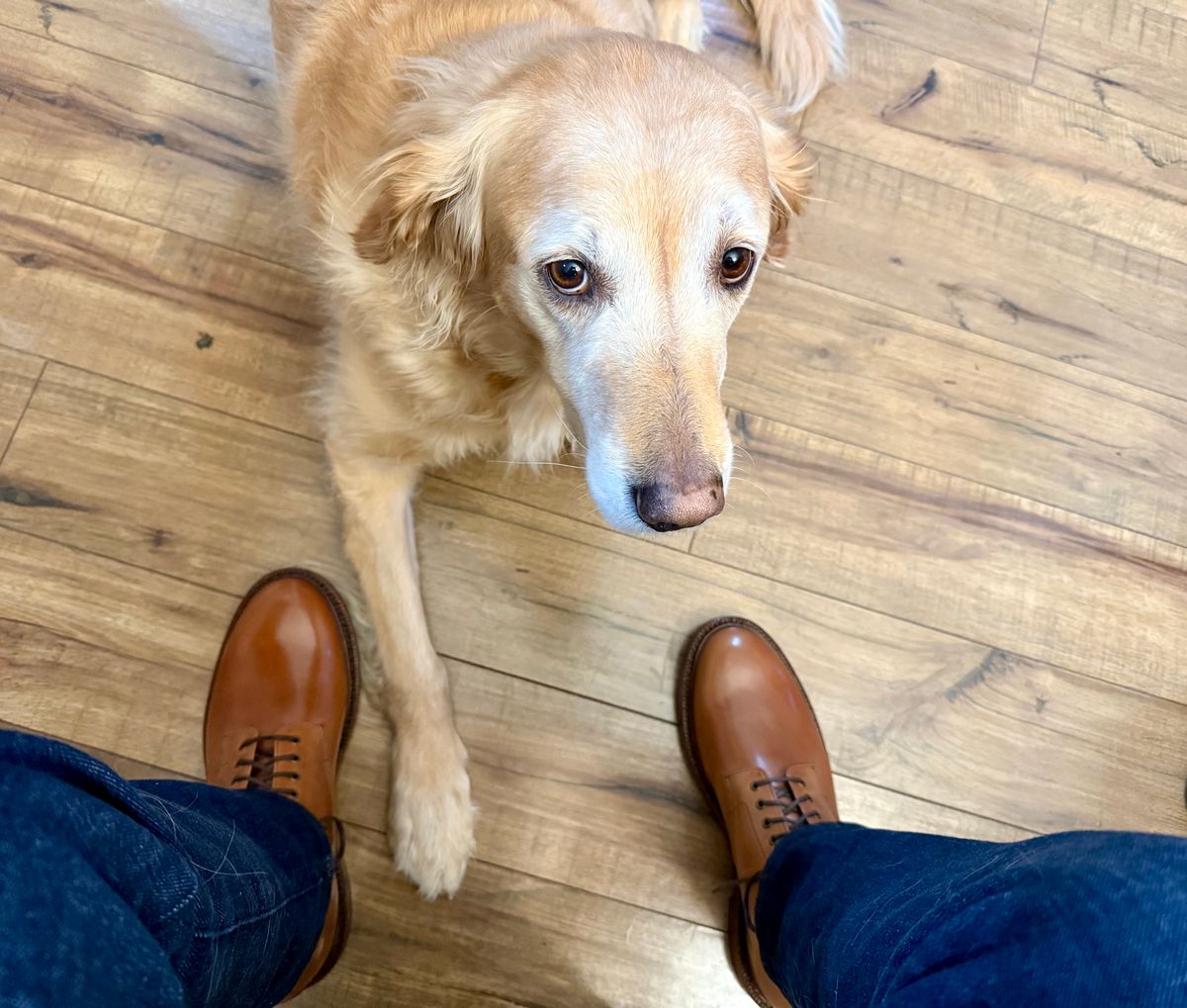 Photo by sierraStyled on December 16, 2024 of the Grant Stone Edward Boot in Horween Honey Glazed Shell Cordovan.