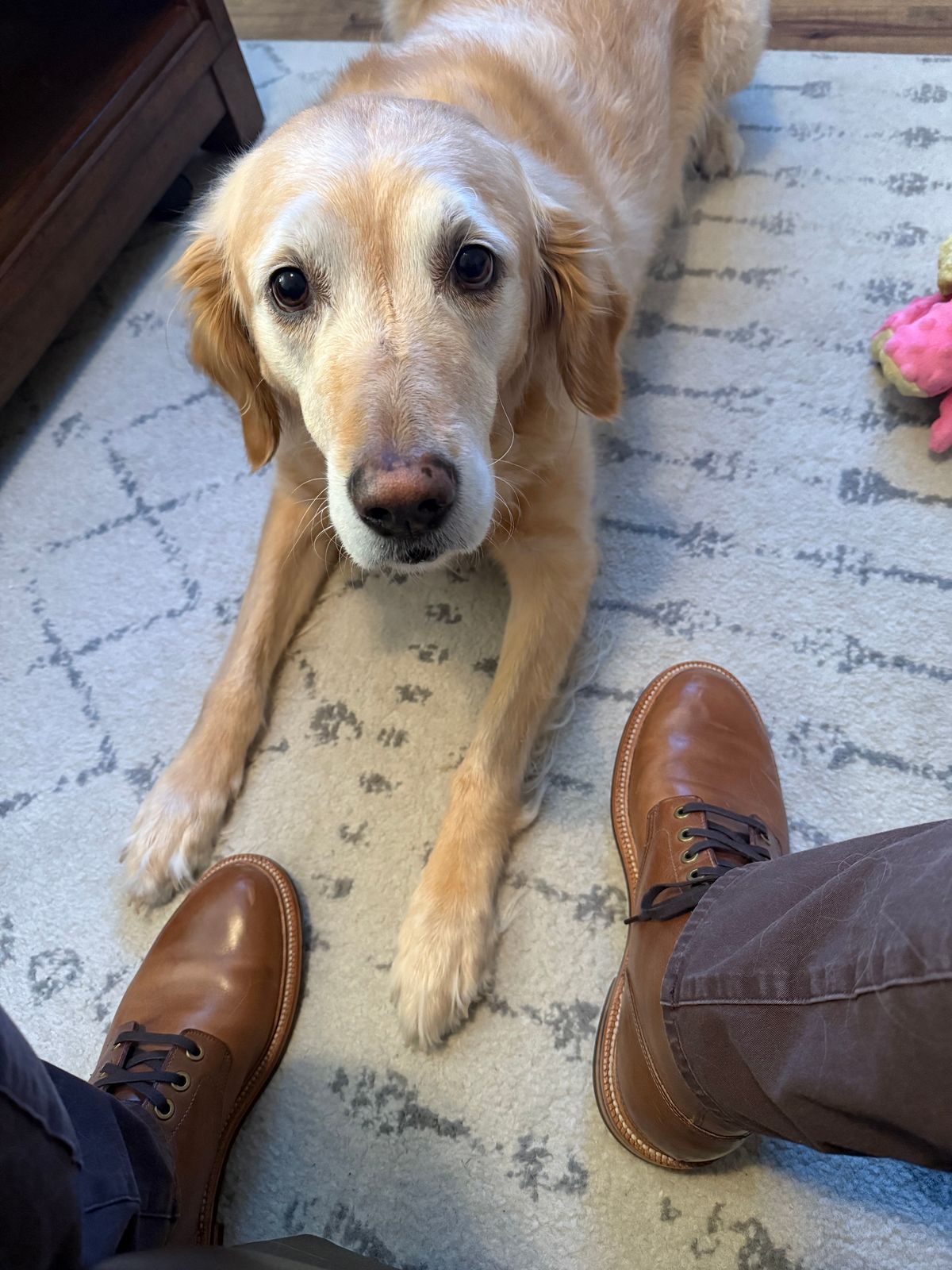 Photo by sierraStyled on October 5, 2024 of the Grant Stone Diesel Boot in Horween Dune Chromexcel.