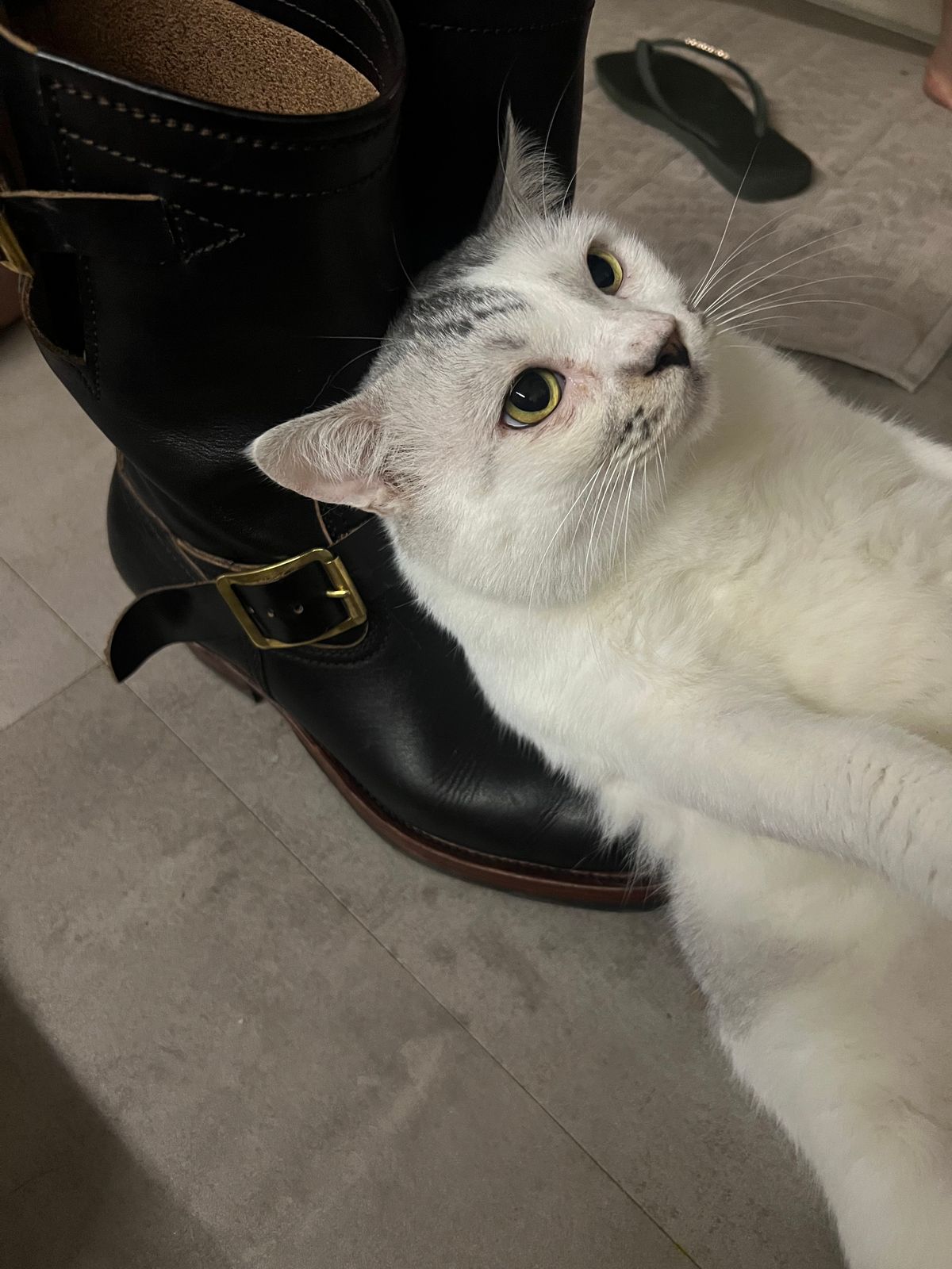Photo by bangbenana on July 12, 2025 of the Briselblack The Keeper 'Type 2' Engineer Boot in Indonesian Black Teacore.