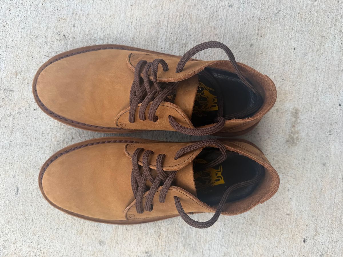 Photo by Mike_Vondebag on April 9, 2026 of the Jim Green Shoellie in Fudge Nubuck.