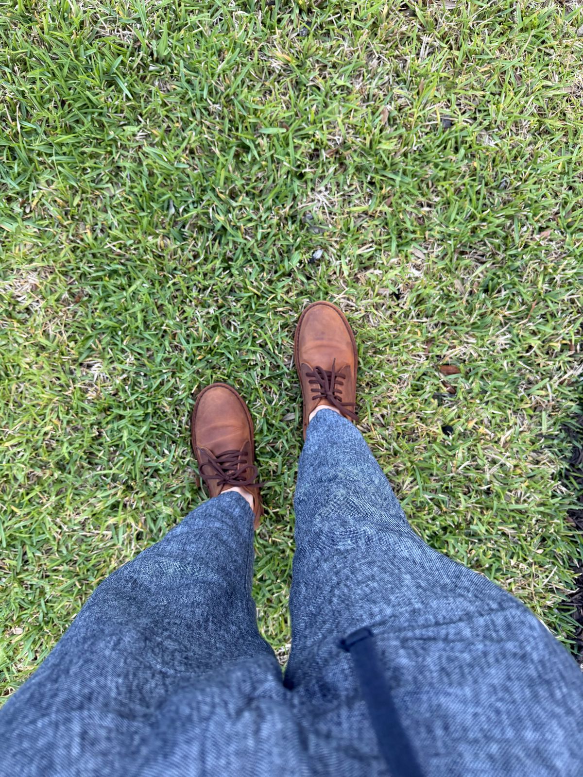 Photo by Mike_Vondebag on April 14, 2026 of the Jim Green Shoellie in Fudge Nubuck.