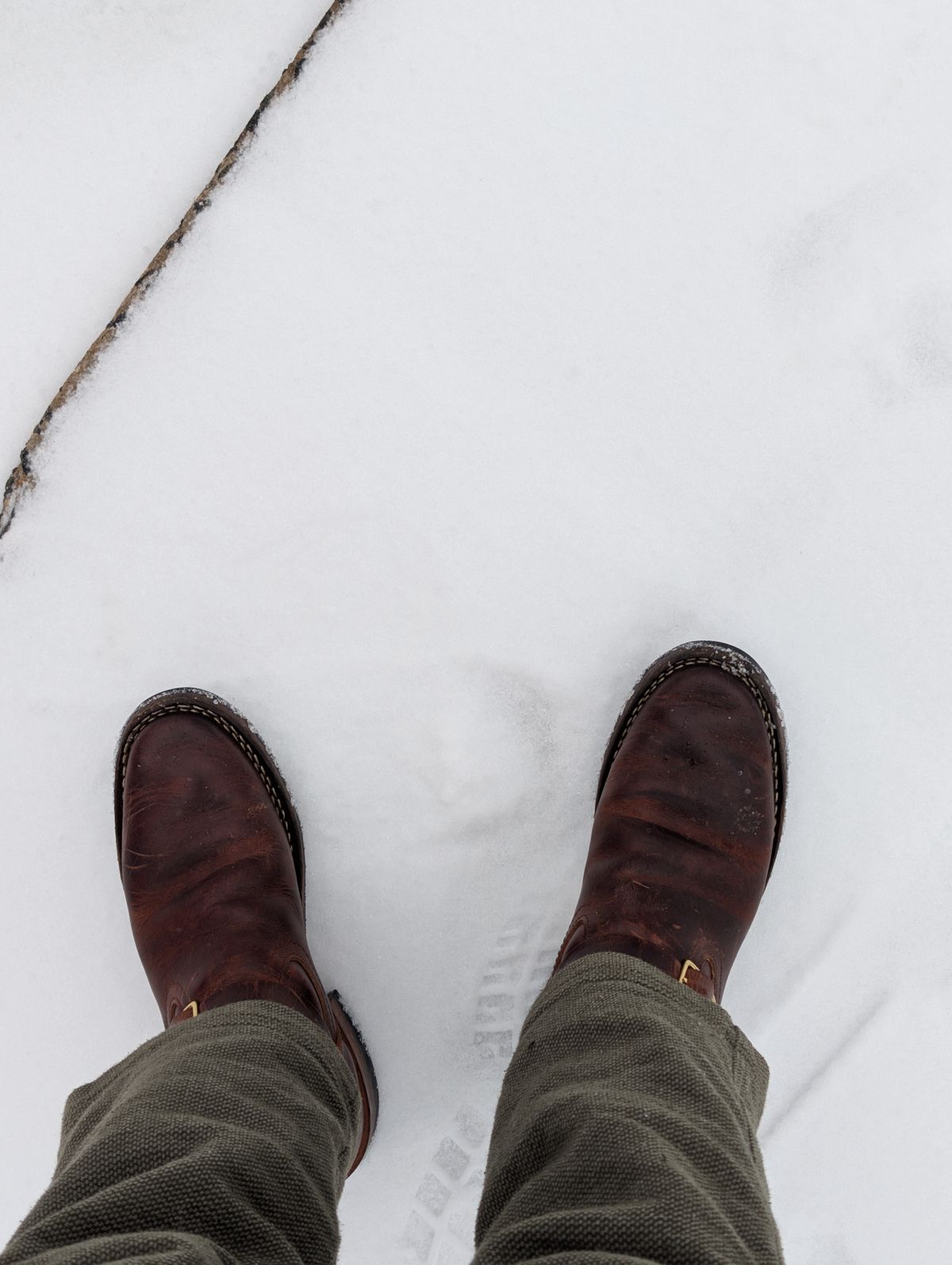 Photo by SerdnaandreS on January 25, 2026 of the Nicks X Parkhurst Brakeman in Italian Brown Cypress.