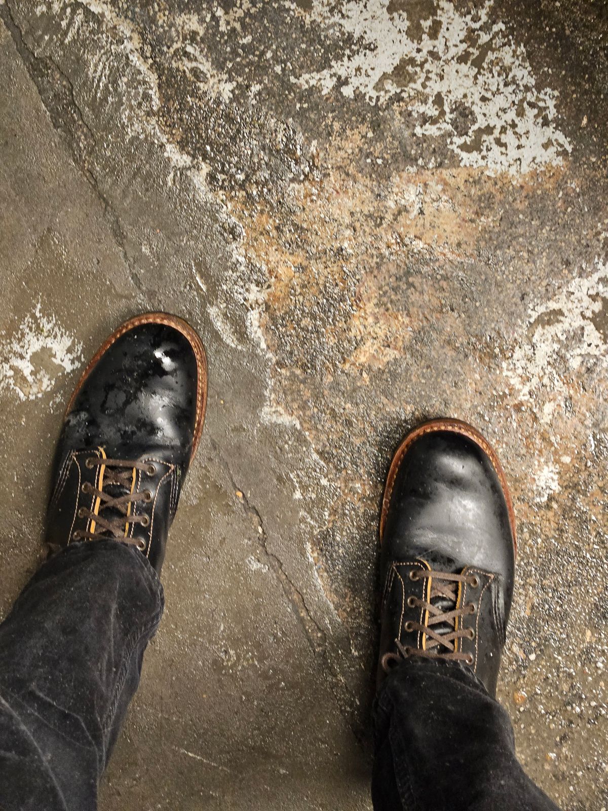 Photo by SerdnaandreS on October 13, 2024 of the Red Wing Beckman Flatbox in S.B. Foot Black Klondike.