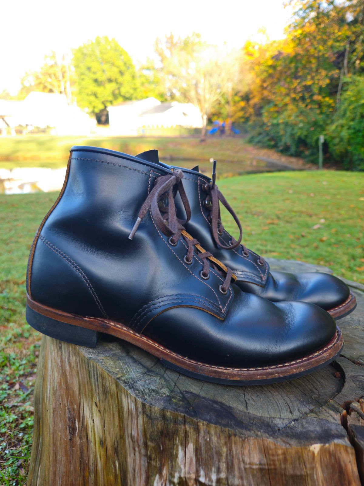 Photo by SerdnaandreS on November 5, 2024 of the Red Wing Beckman Flatbox in S.B. Foot Black Klondike.