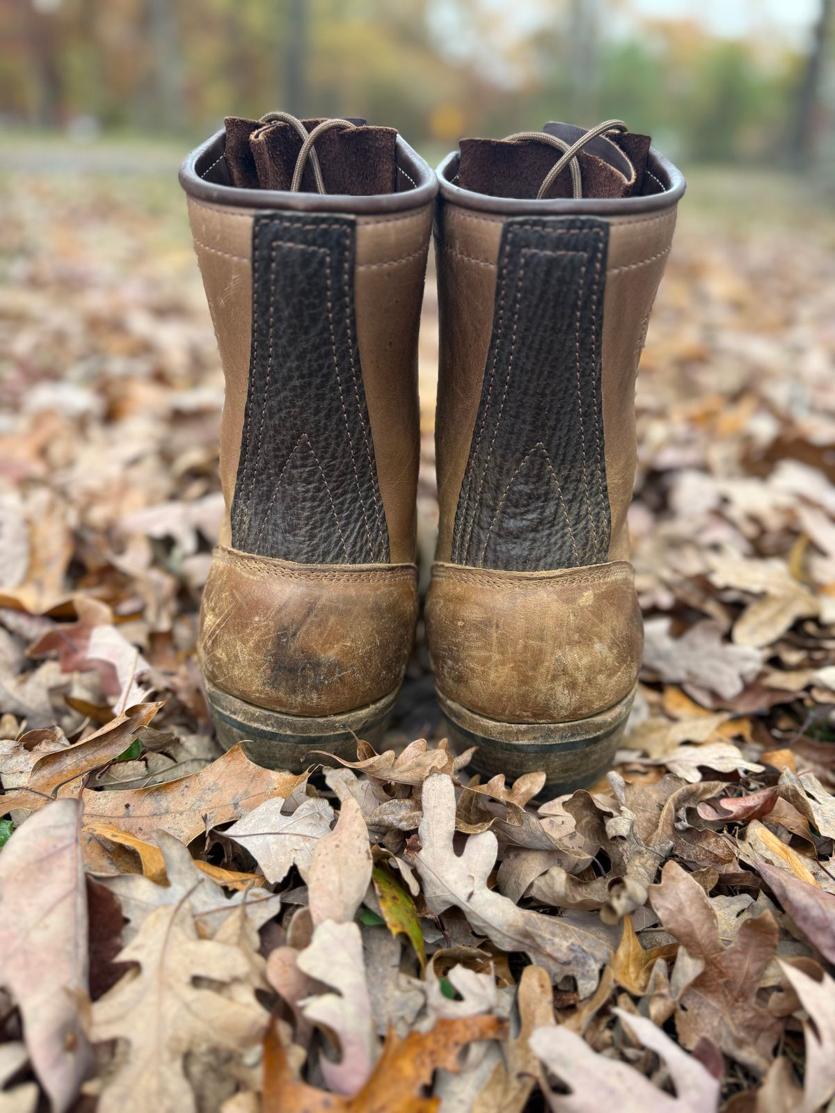 Photo by jandrescavage on November 3, 2025 of the Frank's Boots Front Range in Horween Natural Chromexcel.