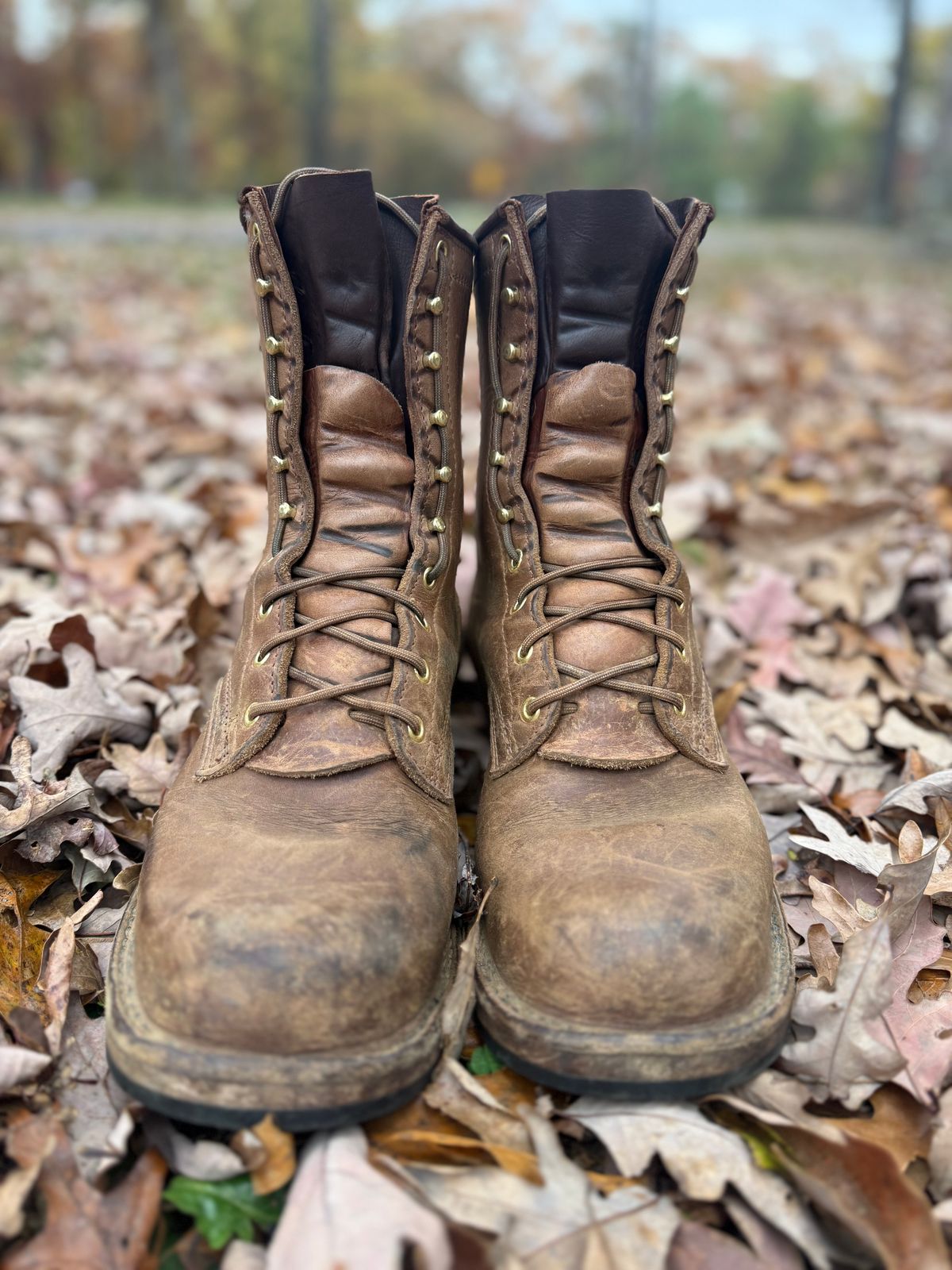 Photo by jandrescavage on November 3, 2025 of the Frank's Boots Front Range in Horween Natural Chromexcel.