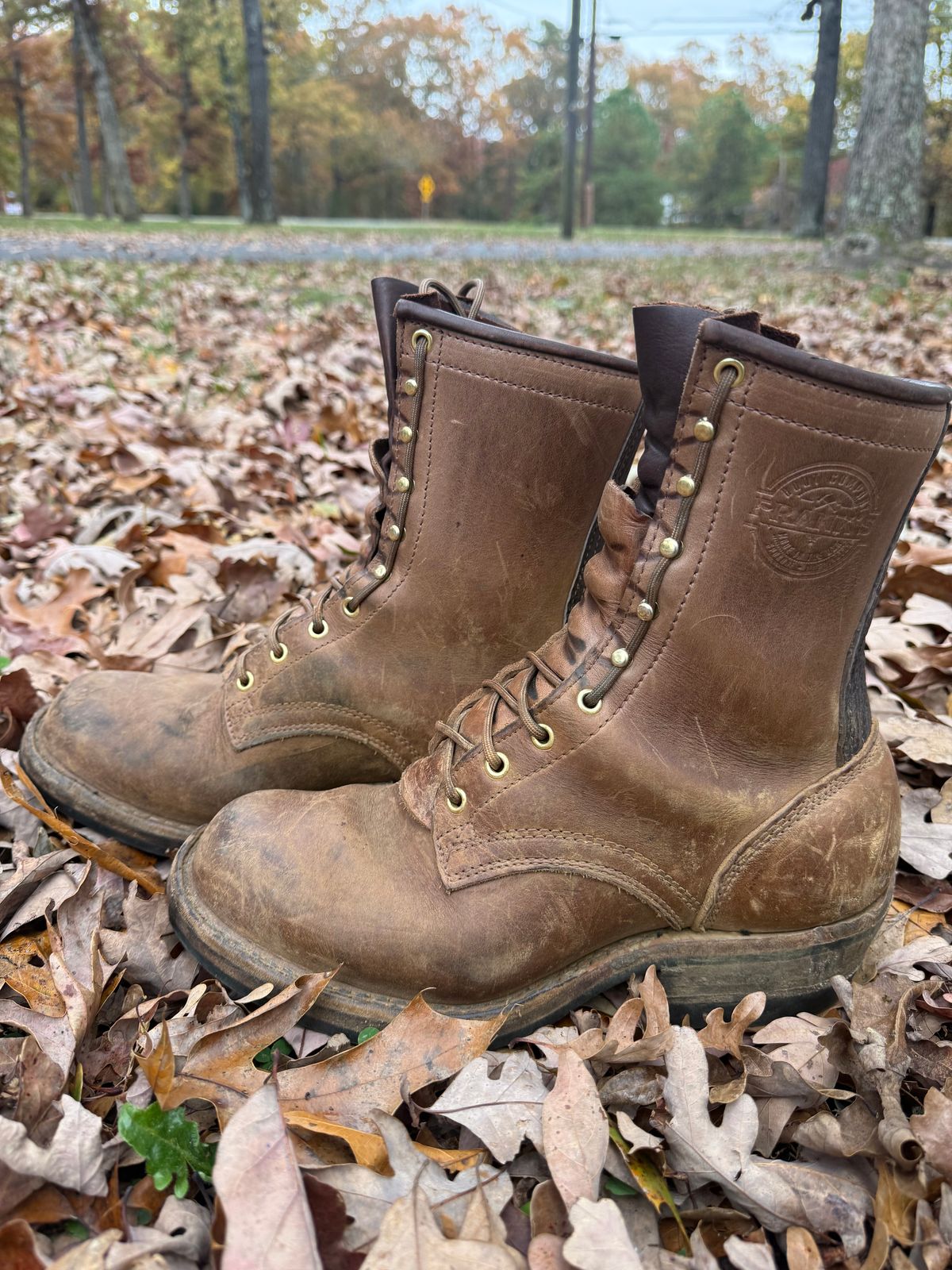 Photo by jandrescavage on November 3, 2025 of the Frank's Boots Front Range in Horween Natural Chromexcel.
