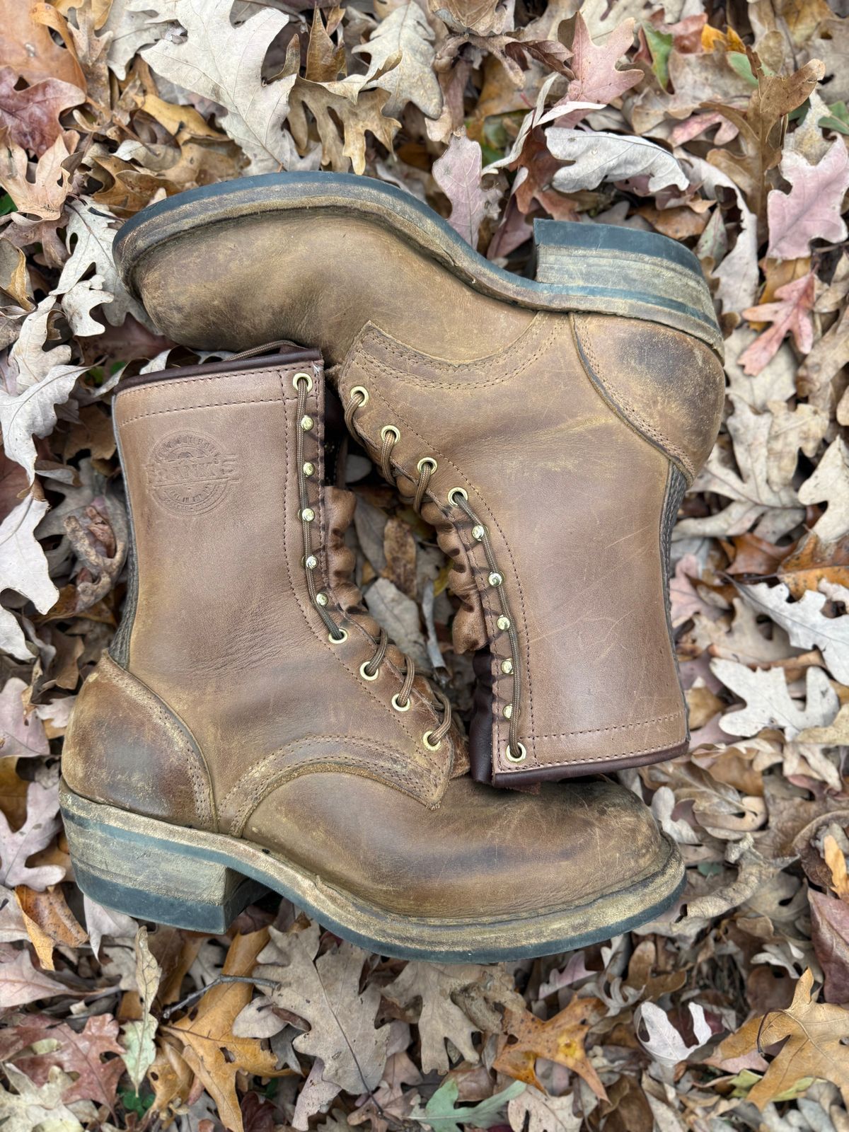 Photo by jandrescavage on November 3, 2025 of the Frank's Boots Front Range in Horween Natural Chromexcel.