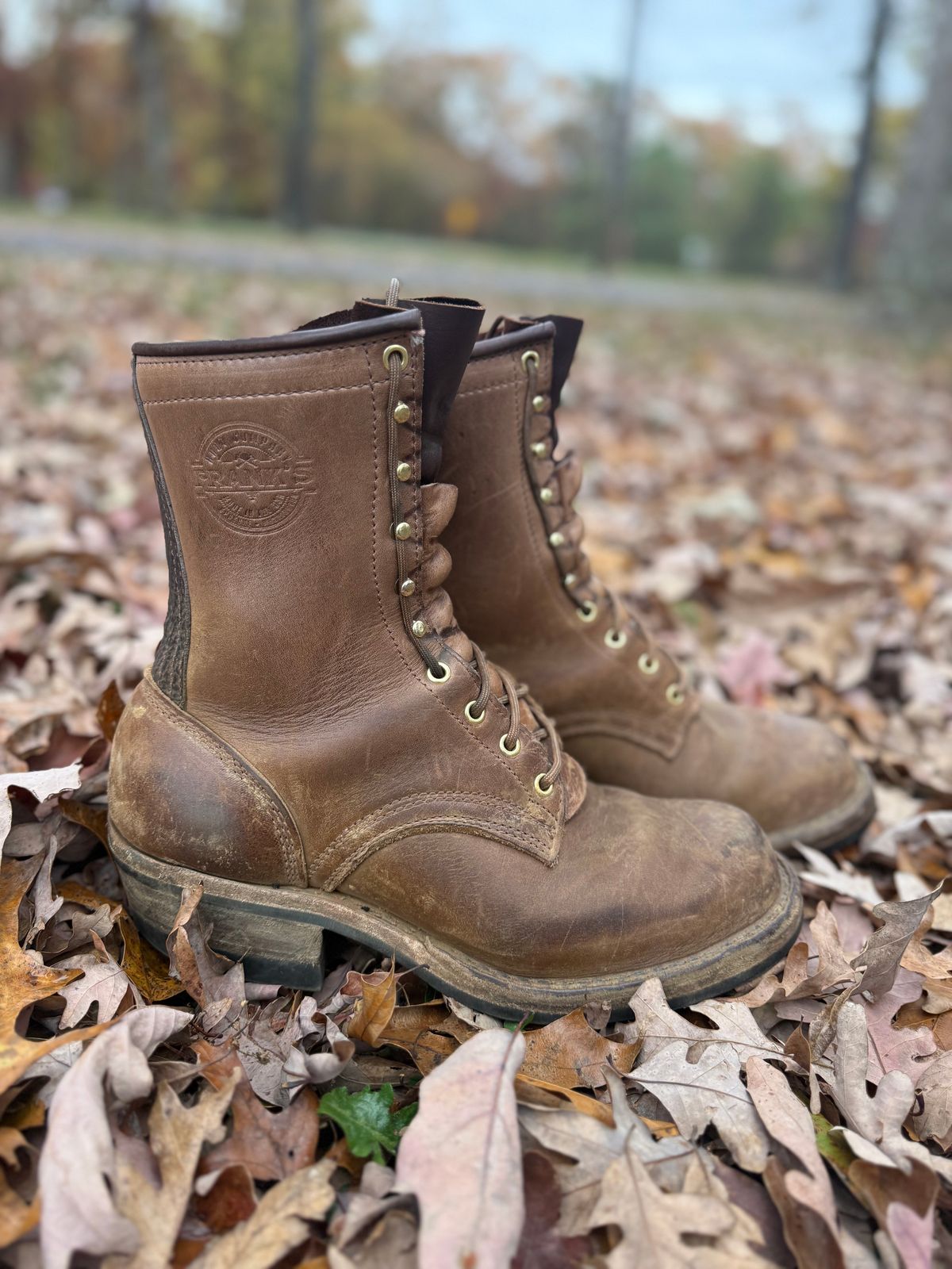 Photo by jandrescavage on November 3, 2025 of the Frank's Boots Front Range in Horween Natural Chromexcel.