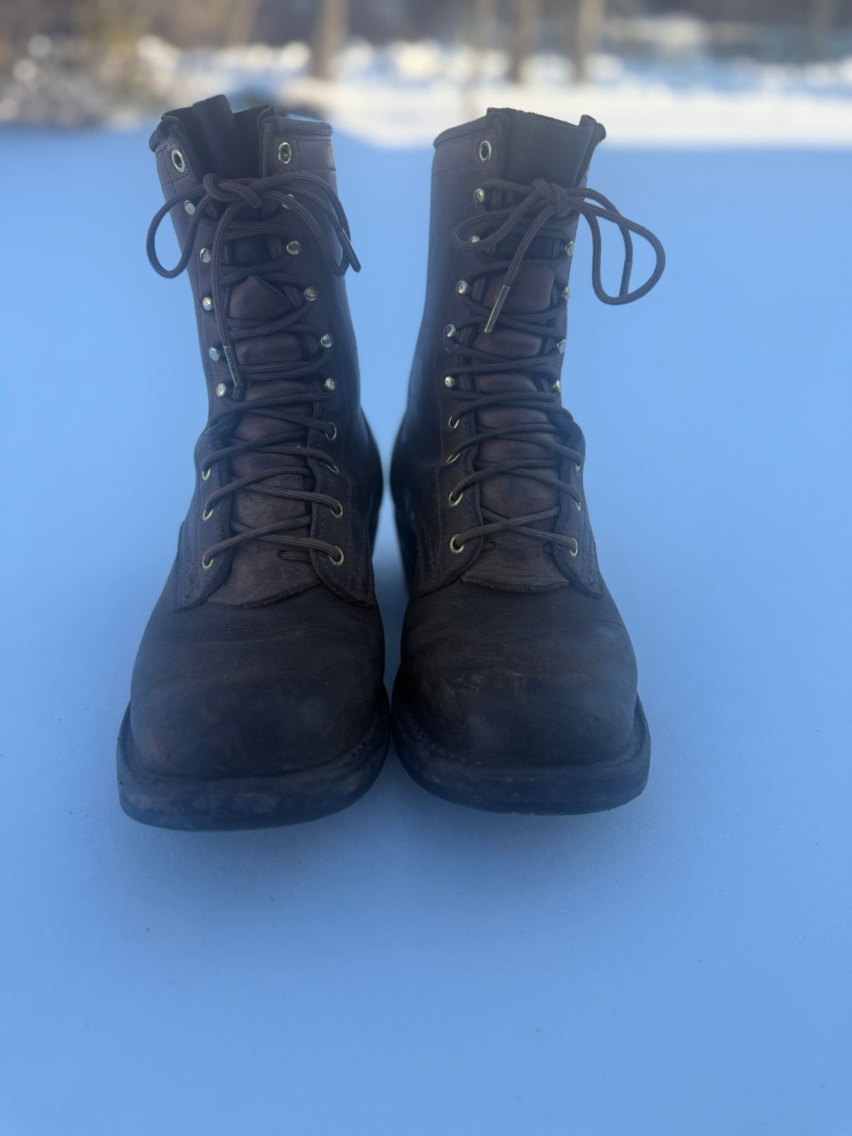 Photo by jandrescavage on February 2, 2026 of the Frank's Boots Front Range in Horween Natural Chromexcel.