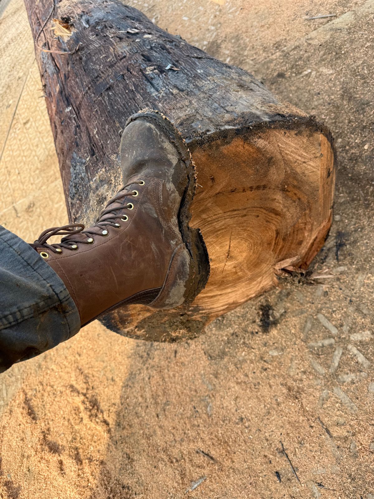 Photo by jandrescavage on February 17, 2026 of the Frank's Boots Front Range in Horween Natural Chromexcel.