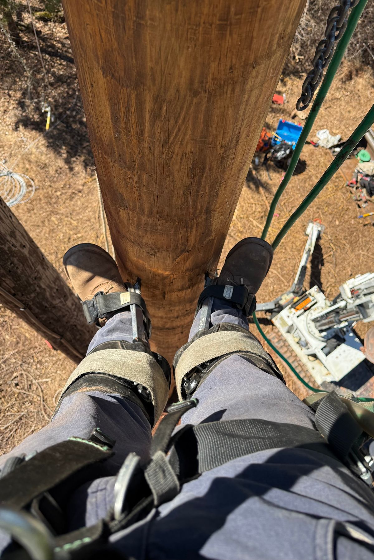 Photo by jandrescavage on March 21, 2026 of the Frank's Boots Front Range in Horween Natural Chromexcel.